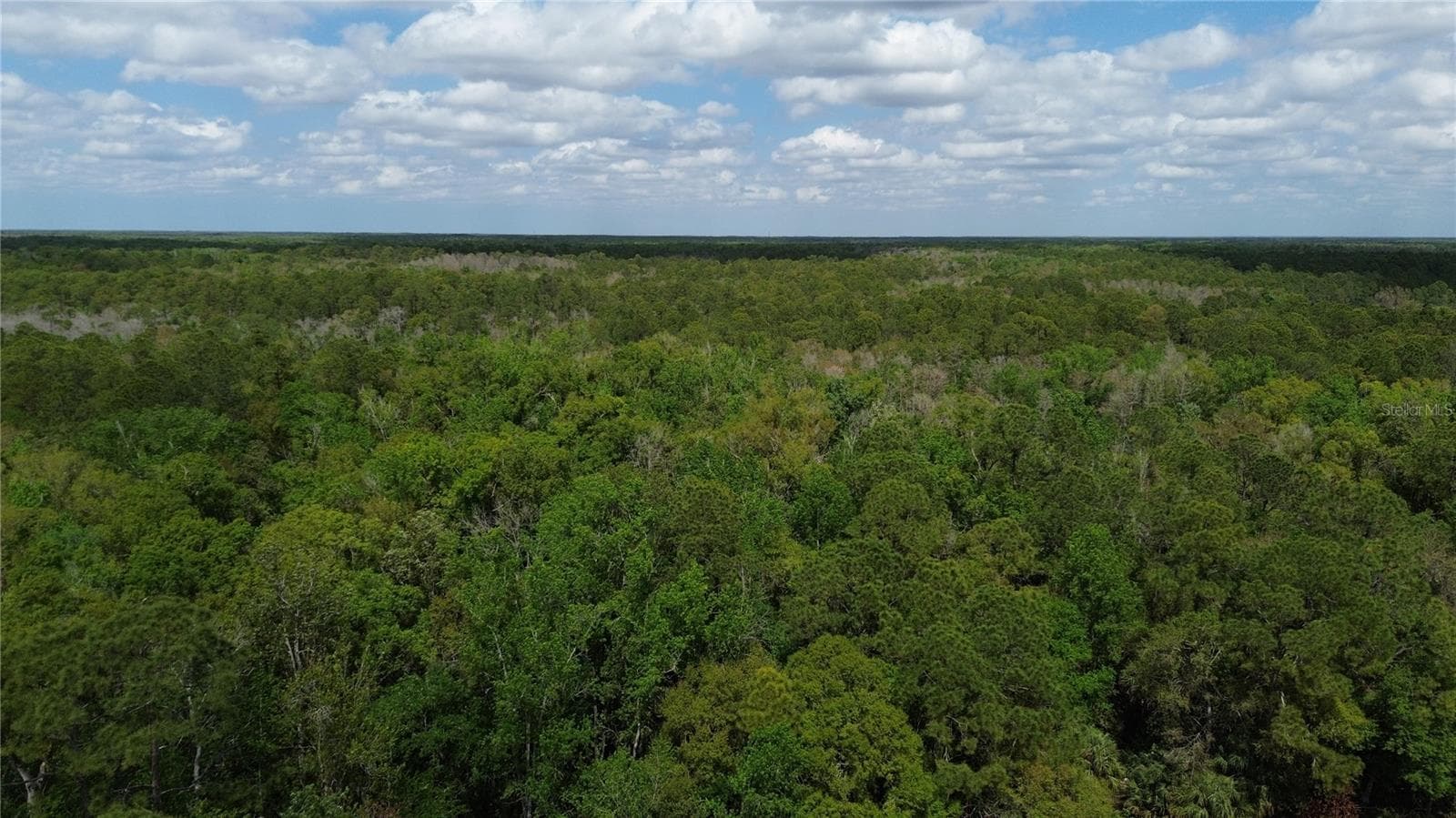 Land at UNASSIGNED, WESLEY CHAPEL, photo 20 of 28