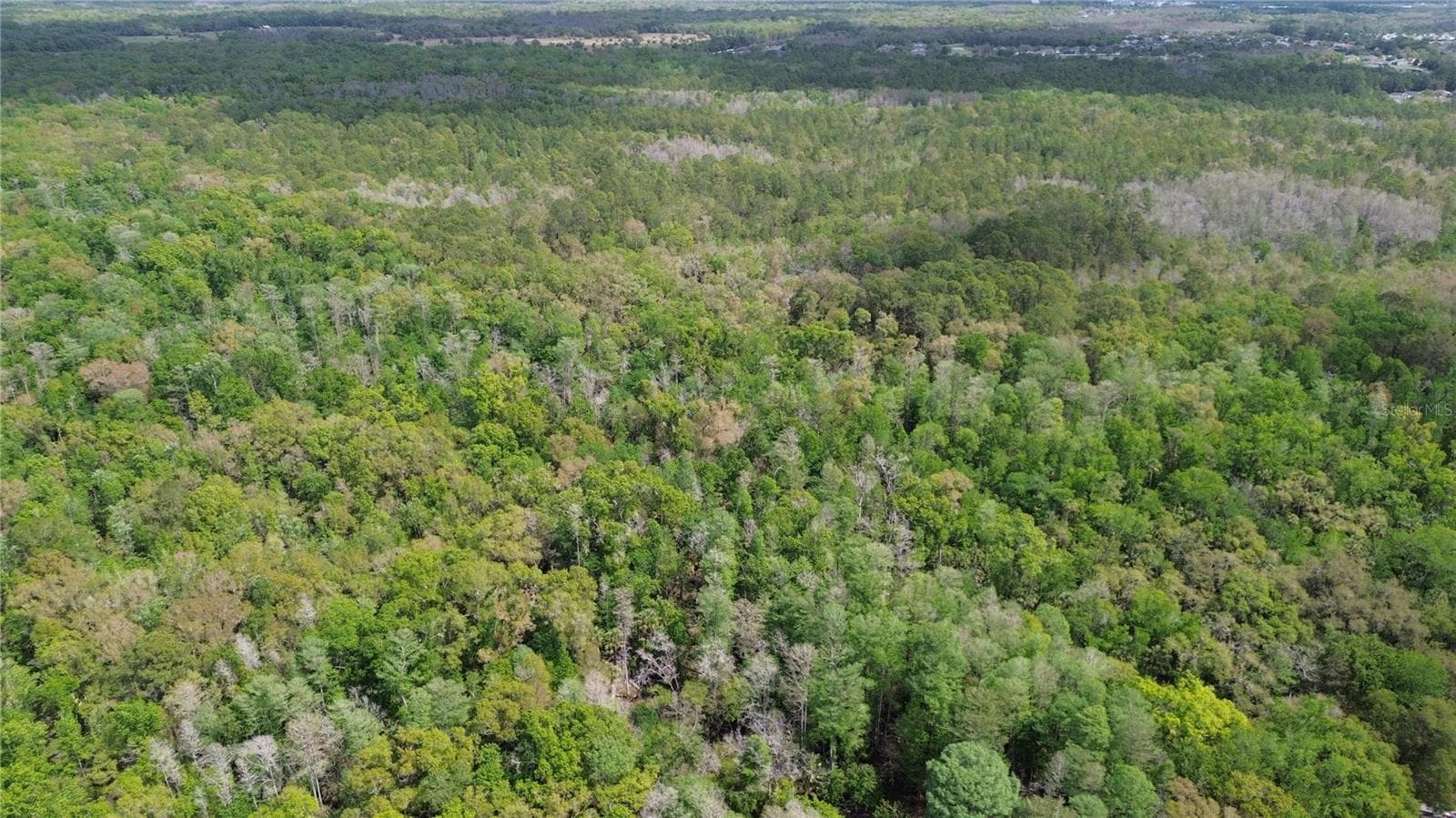 Land at UNASSIGNED, WESLEY CHAPEL, photo 28 of 28