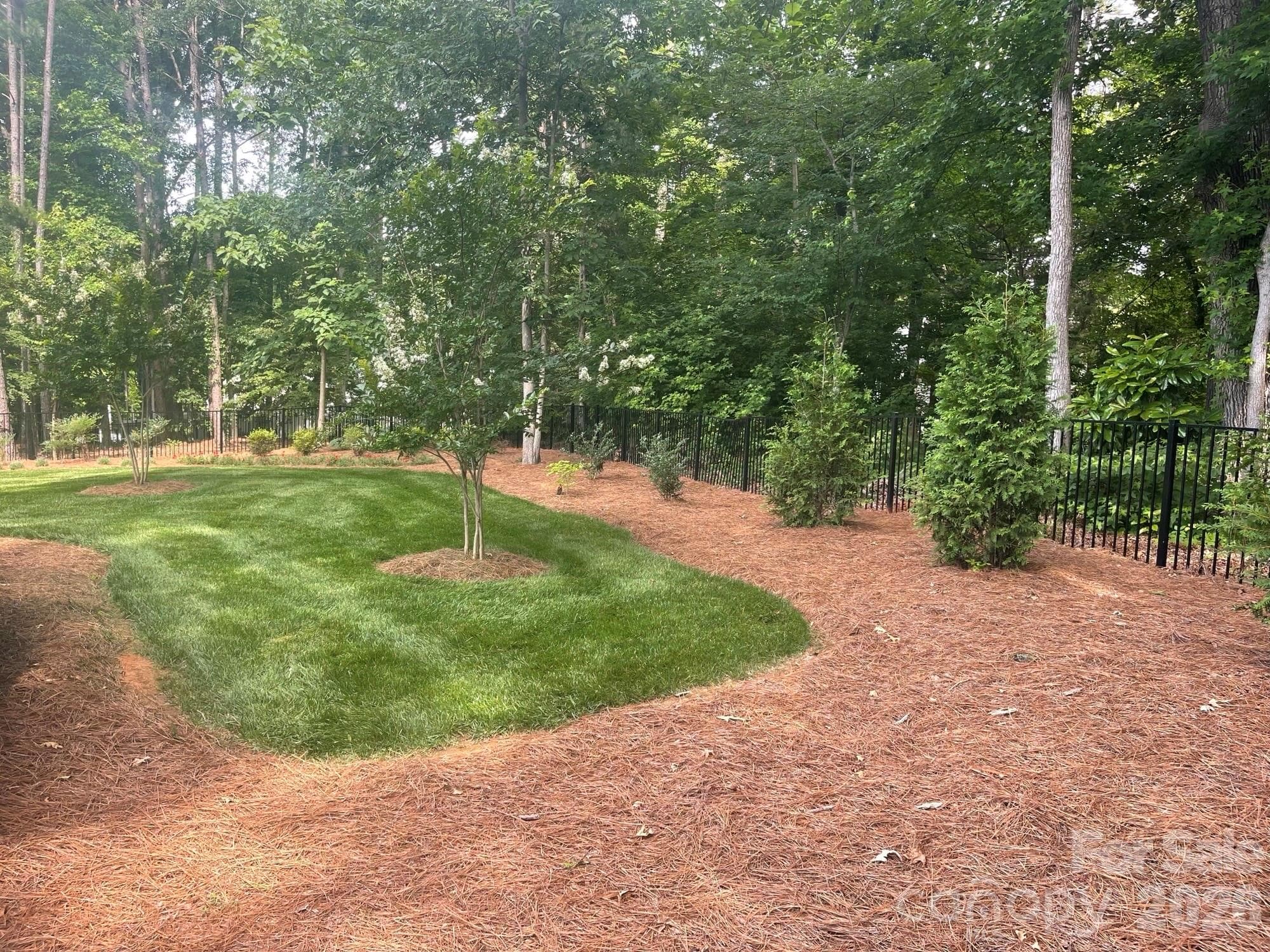 Natural Mature Woods for Privacy. - 4231 Piaffe Avenue, Mint Hill