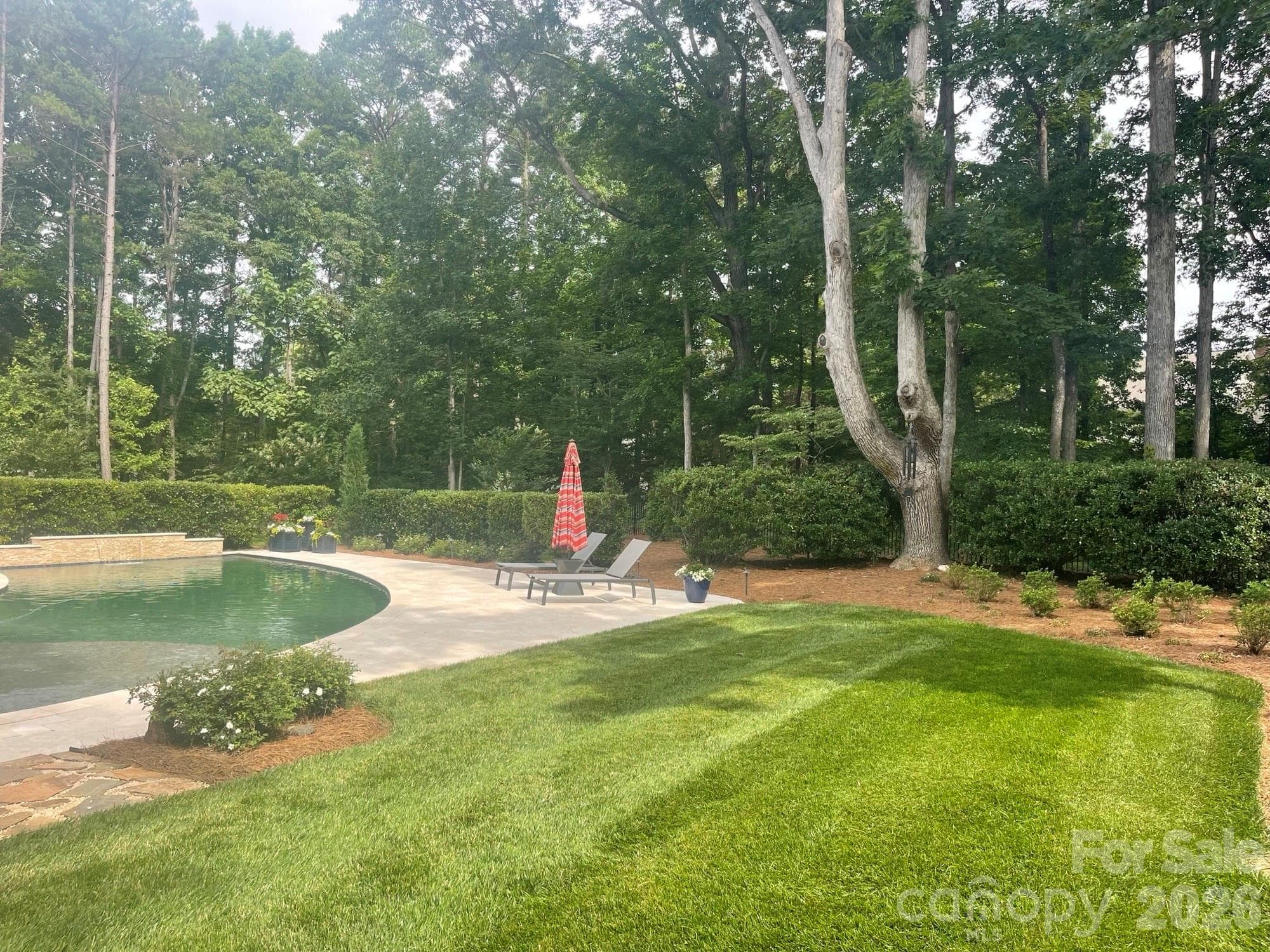 Gunite Heated Saltwater Pool - 4231 Piaffe Avenue, Mint Hill