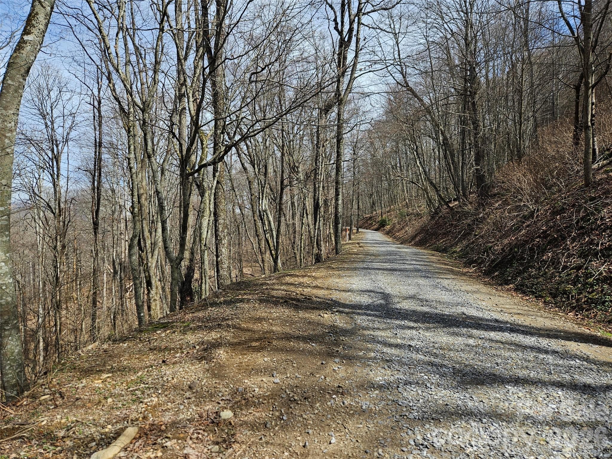 Lot at Waynesville, photo 4 of 17