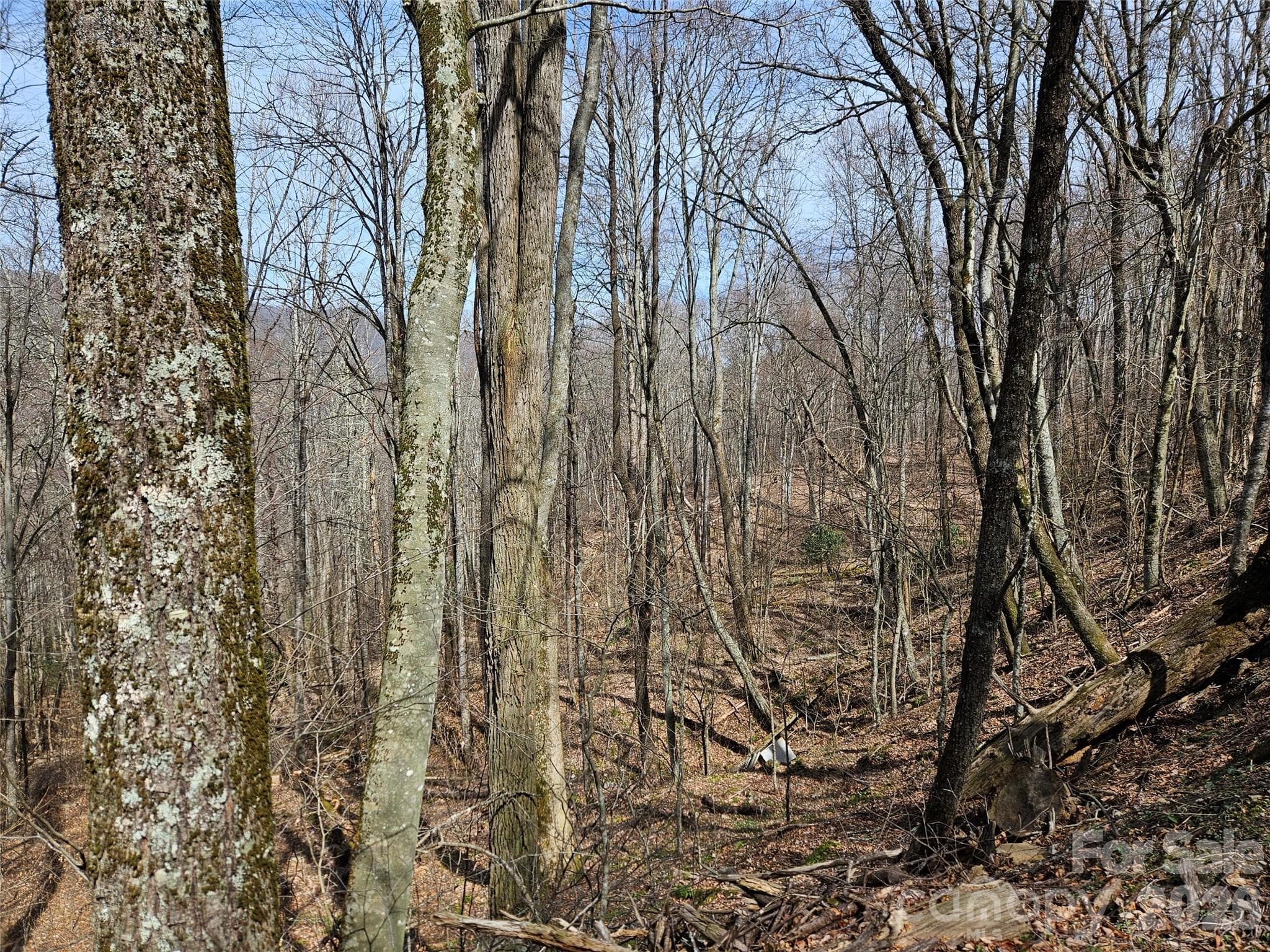 Lot at Waynesville, photo 5 of 17