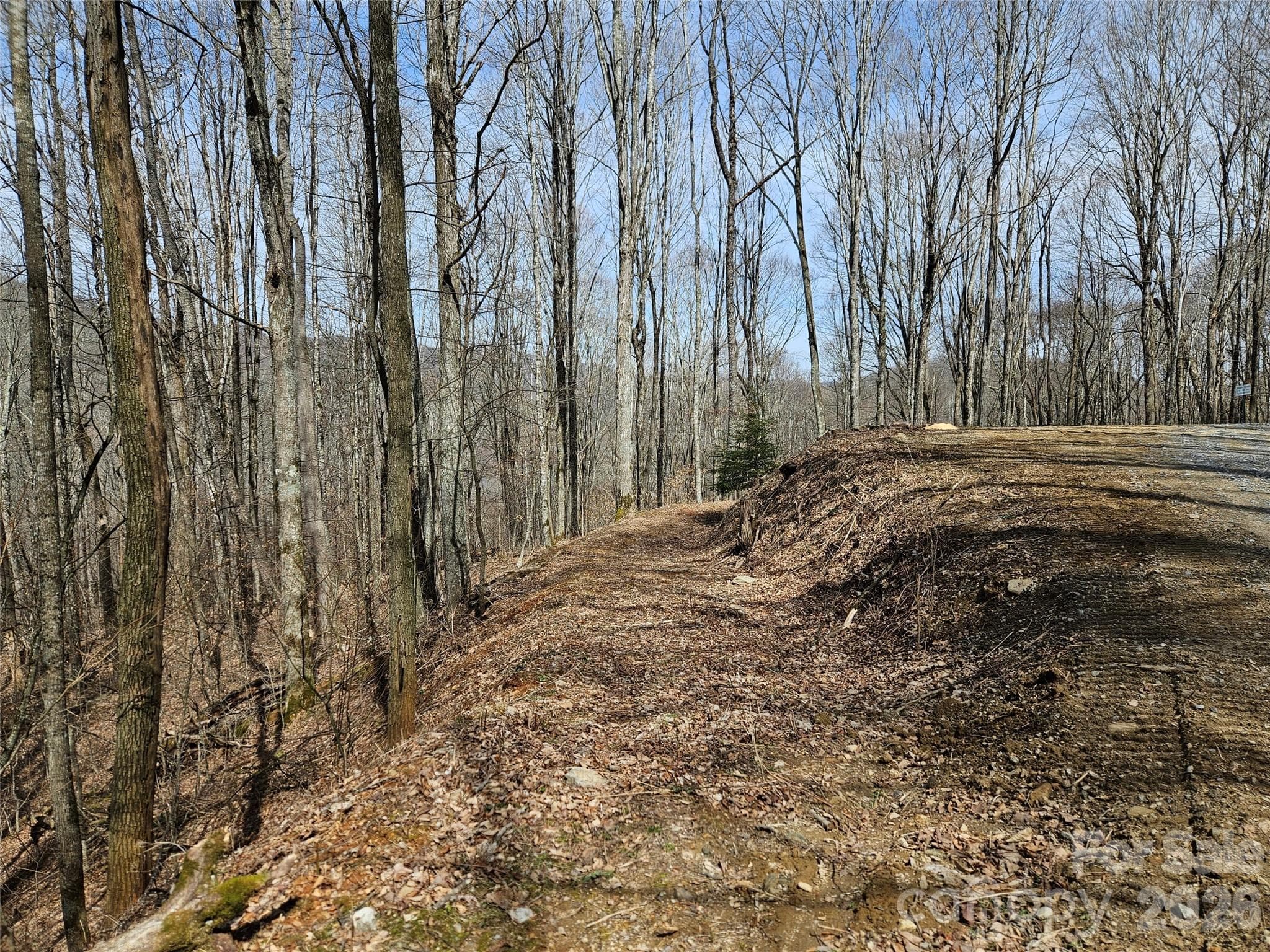 Lot at Waynesville, photo 6 of 17