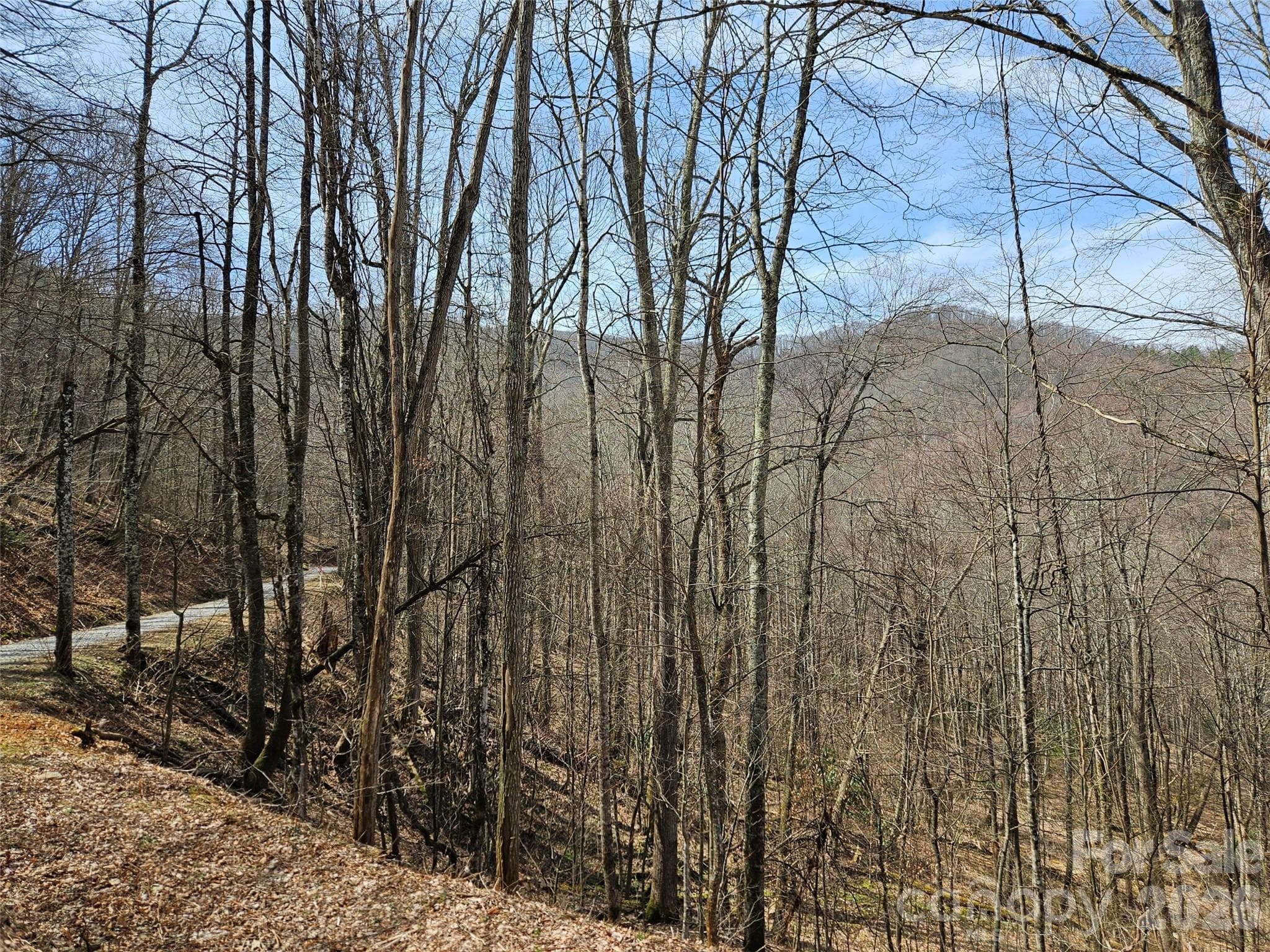 Lot at Waynesville, photo 7 of 17