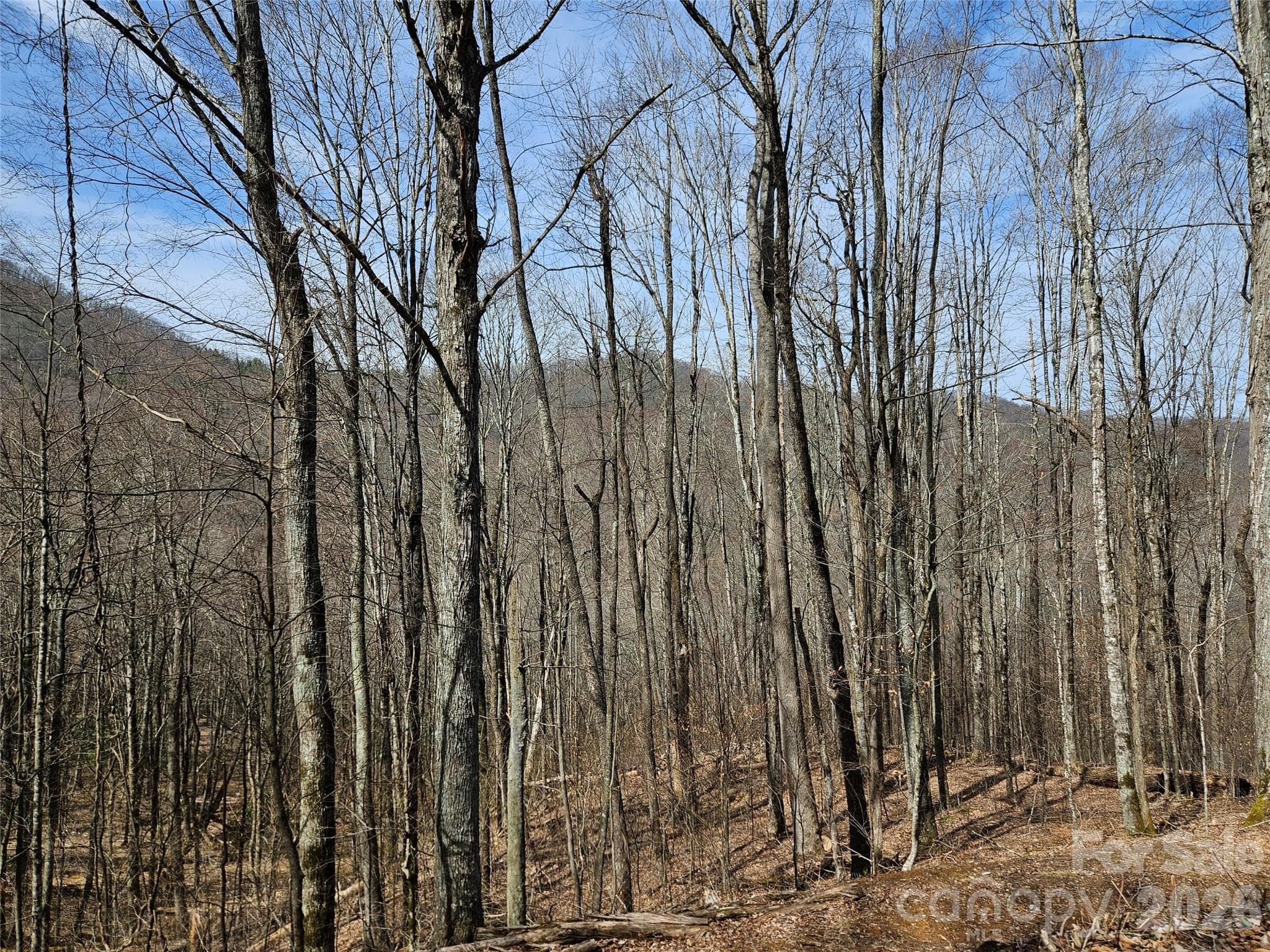 Lot at Waynesville, photo 8 of 17
