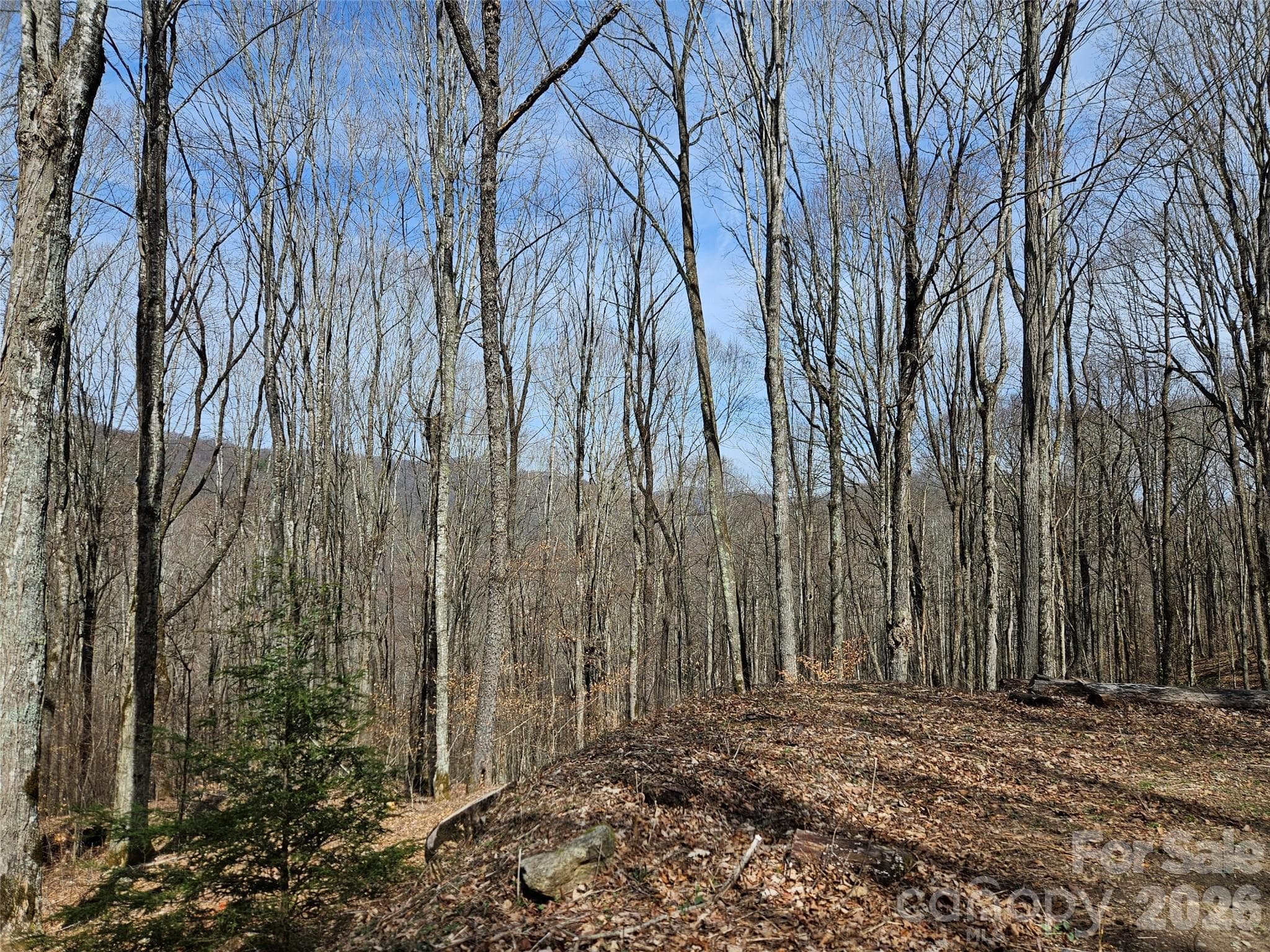 Lot at Waynesville, photo 9 of 17