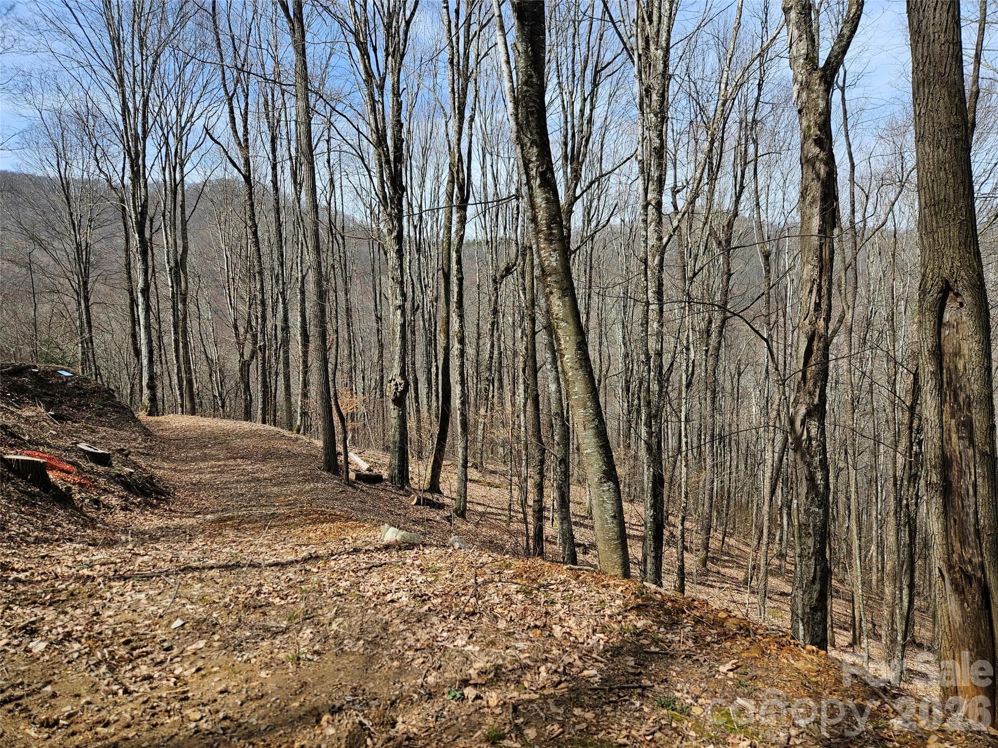 Lot at Waynesville, photo 10 of 17