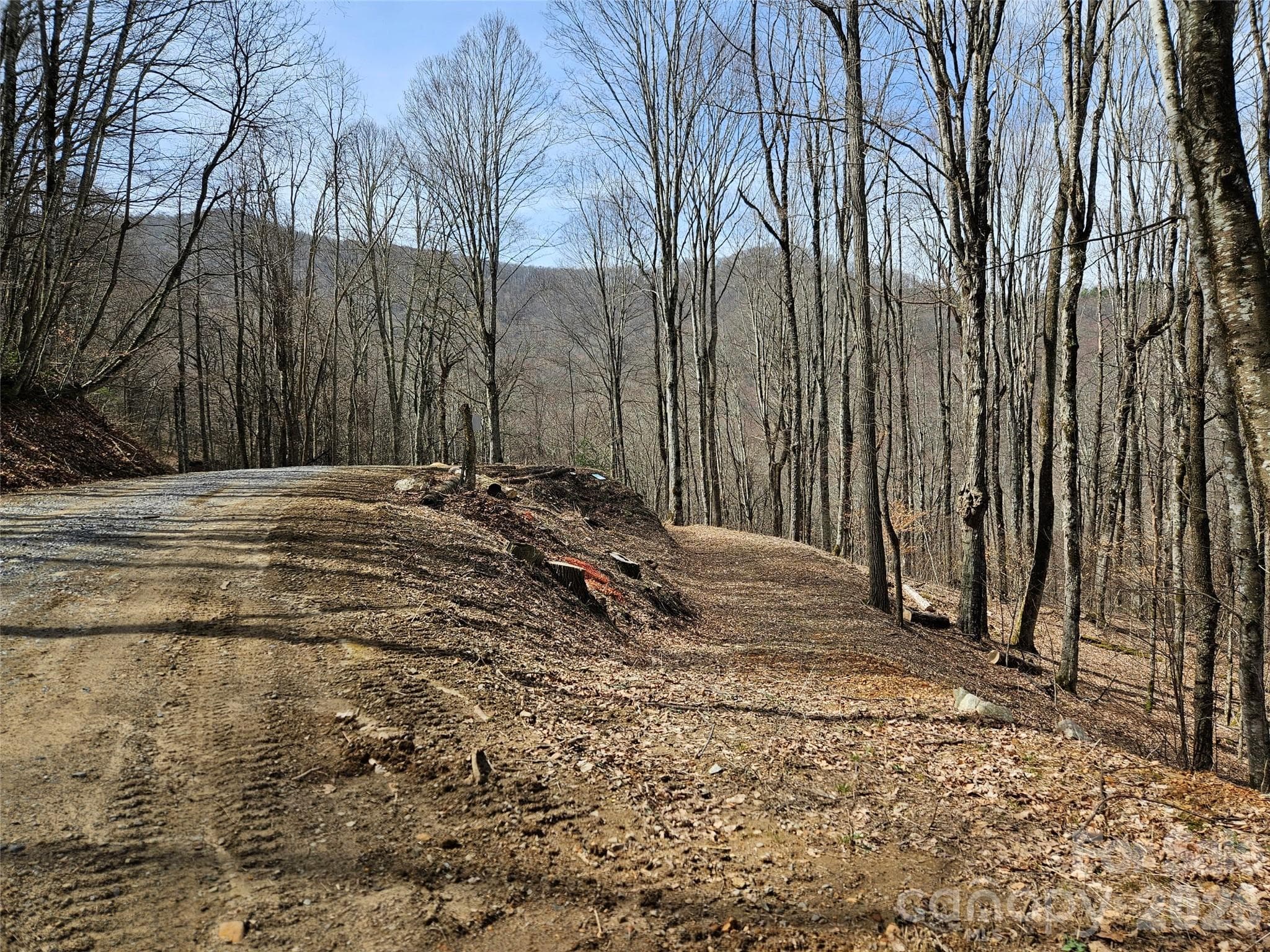 Lot at Waynesville, photo 11 of 17