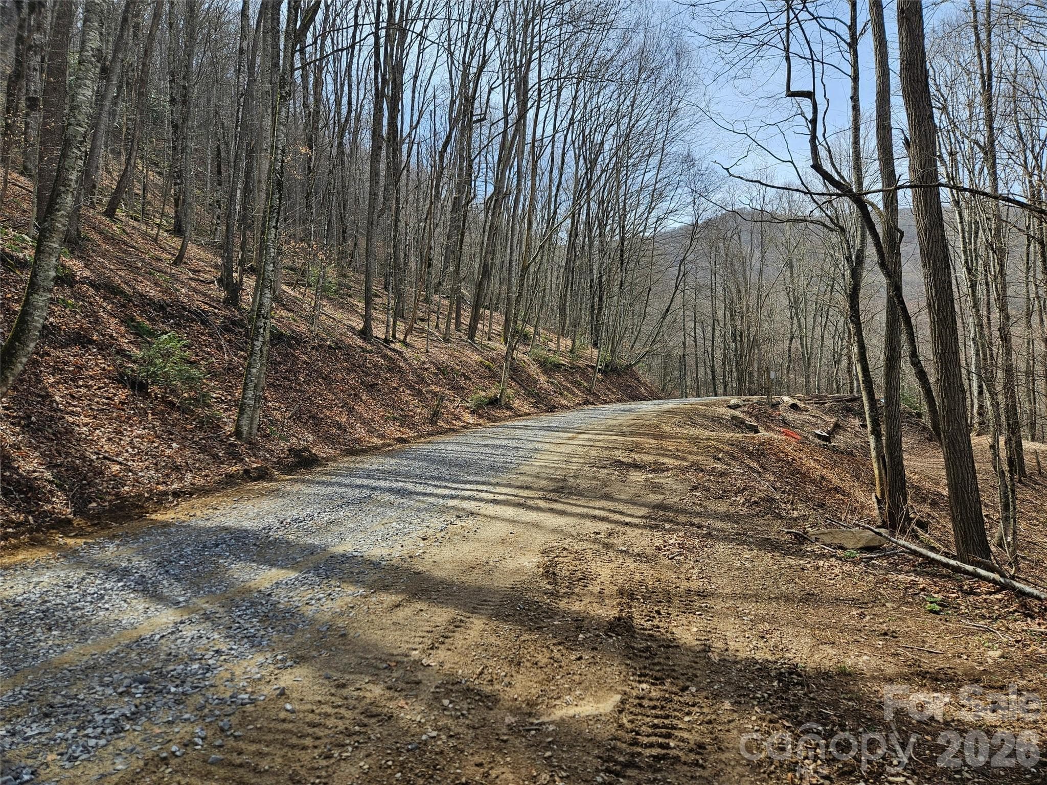 Lot at Waynesville, photo 12 of 17