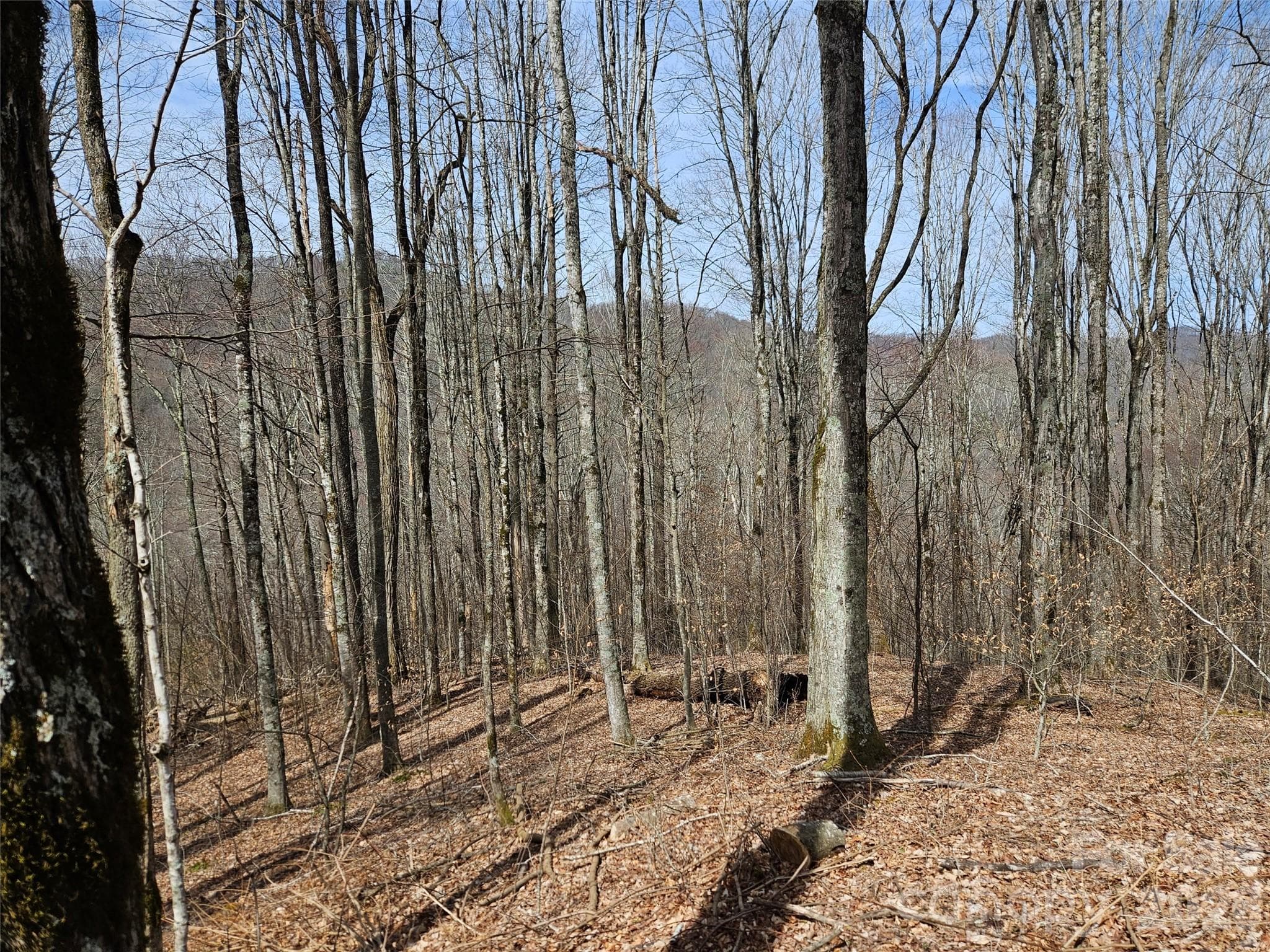 Lot at Waynesville, photo 13 of 17