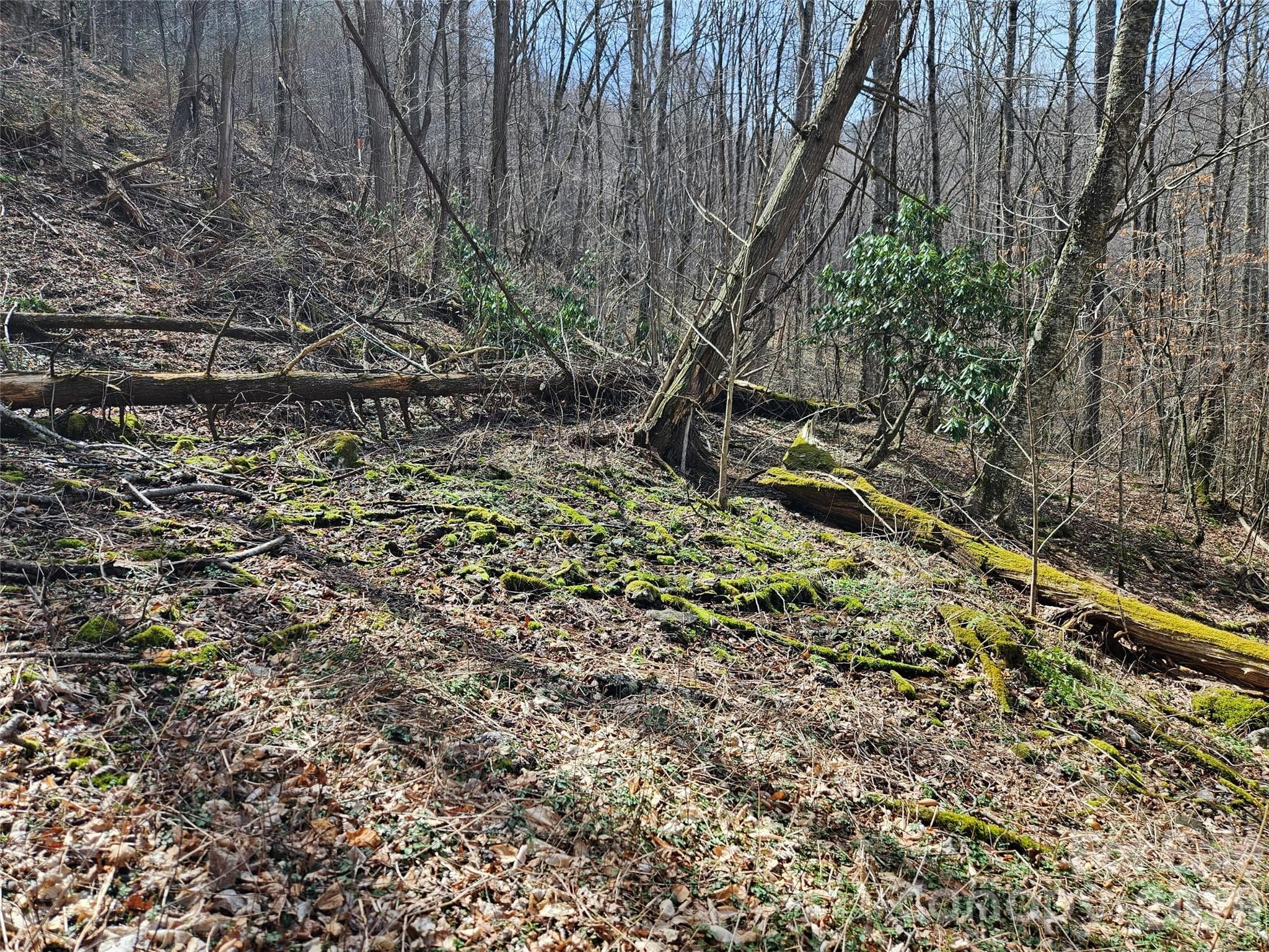 Lot at Waynesville, photo 14 of 17