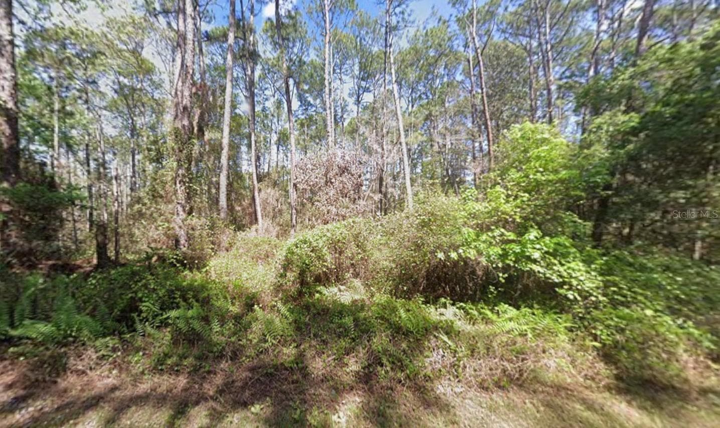 416 PALM WAY