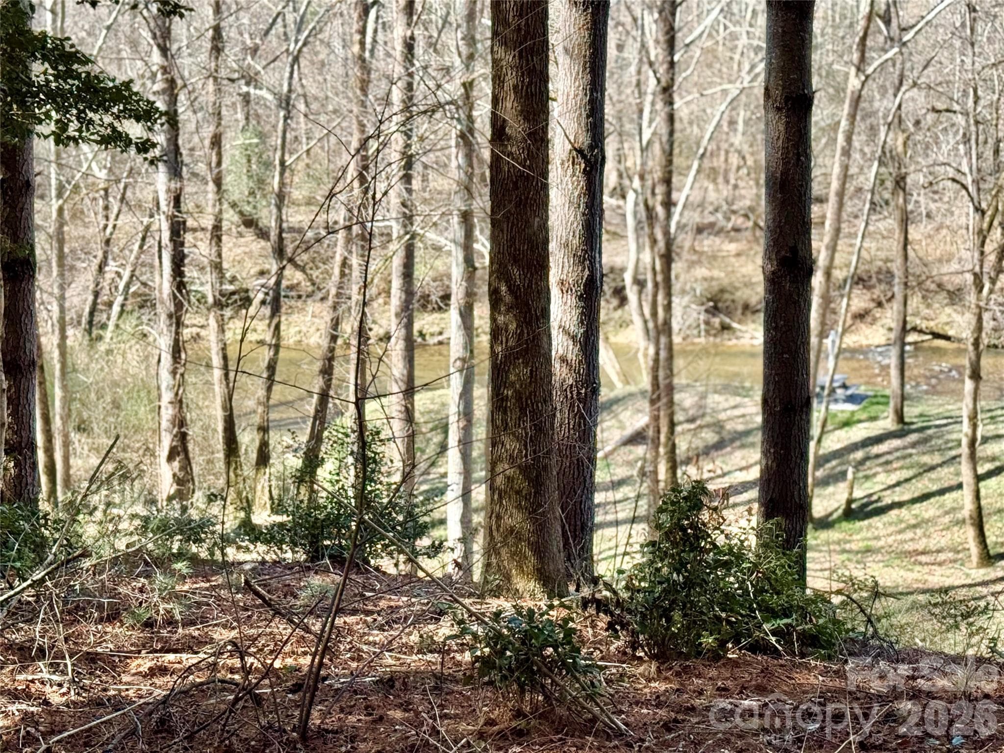 Lot at Lenoir, photo 2 of 39