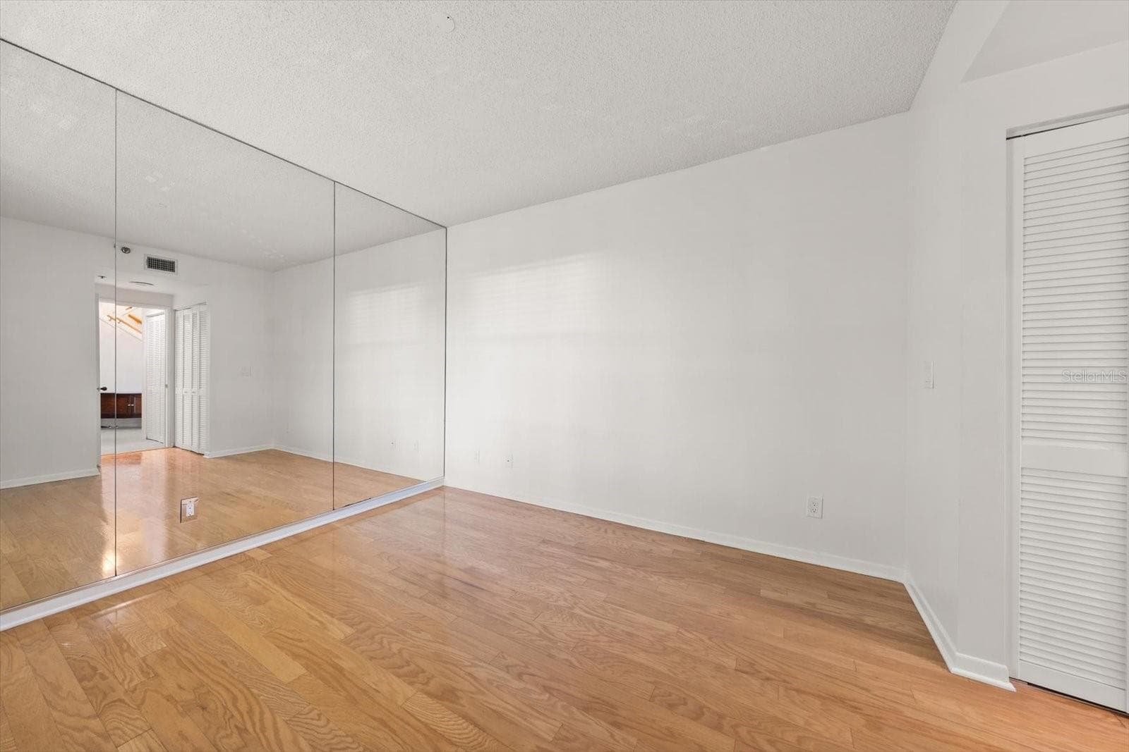 1st floor guest bedroom - or a private office - 947 SEDDON COVE WAY #947, TAMPA