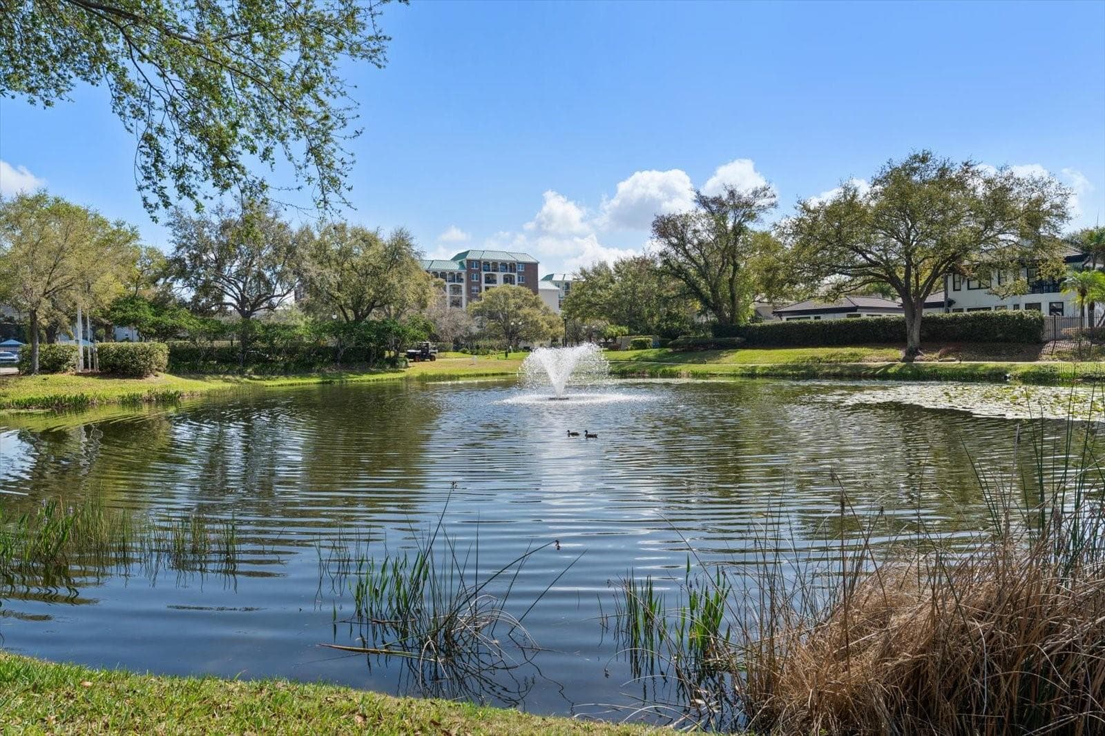 Tranquil ponds and walking trails throughout the neighborhood - 947 SEDDON COVE WAY #947, TAMPA