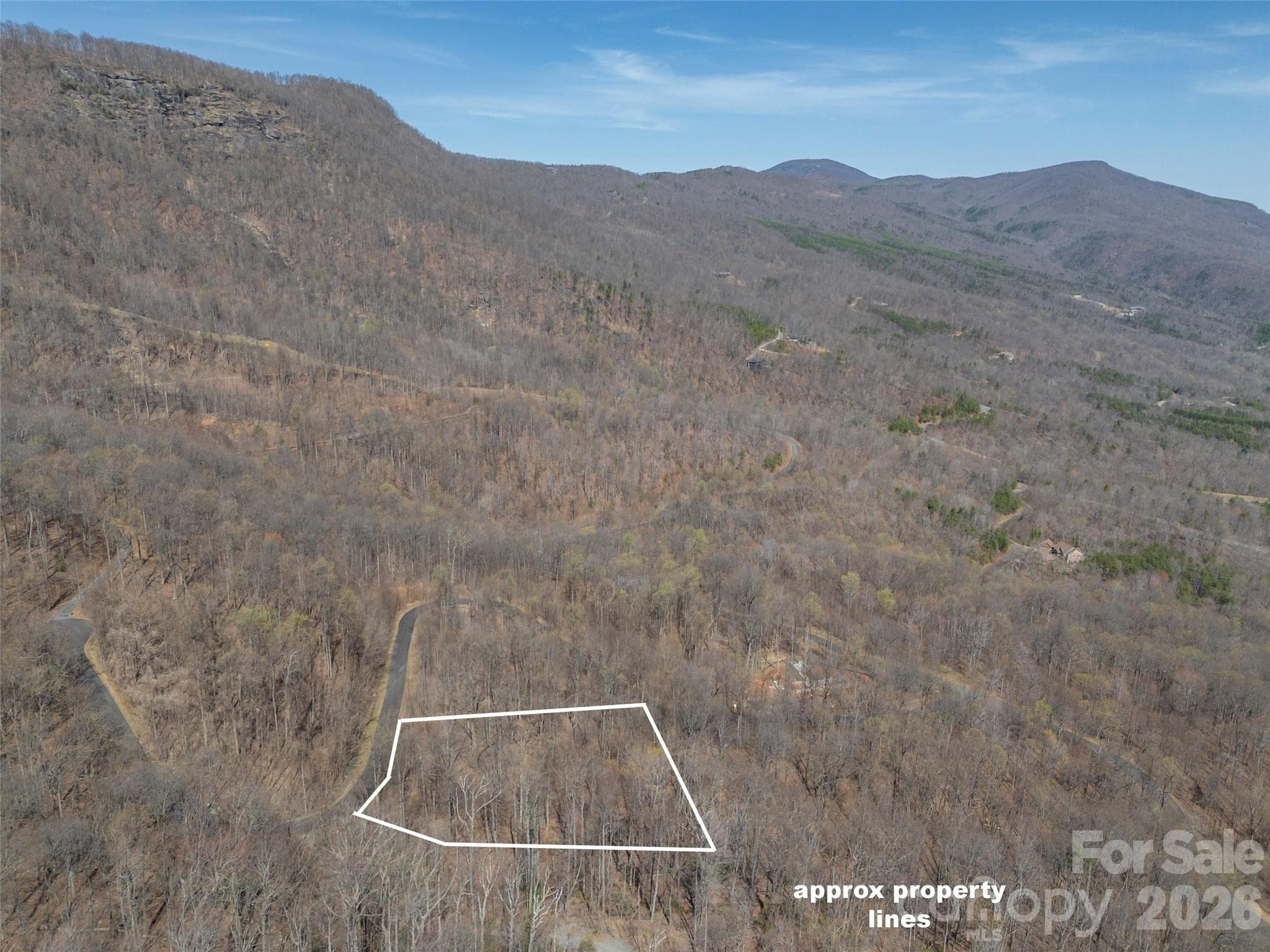 Lot at Mill Spring, photo 3 of 37