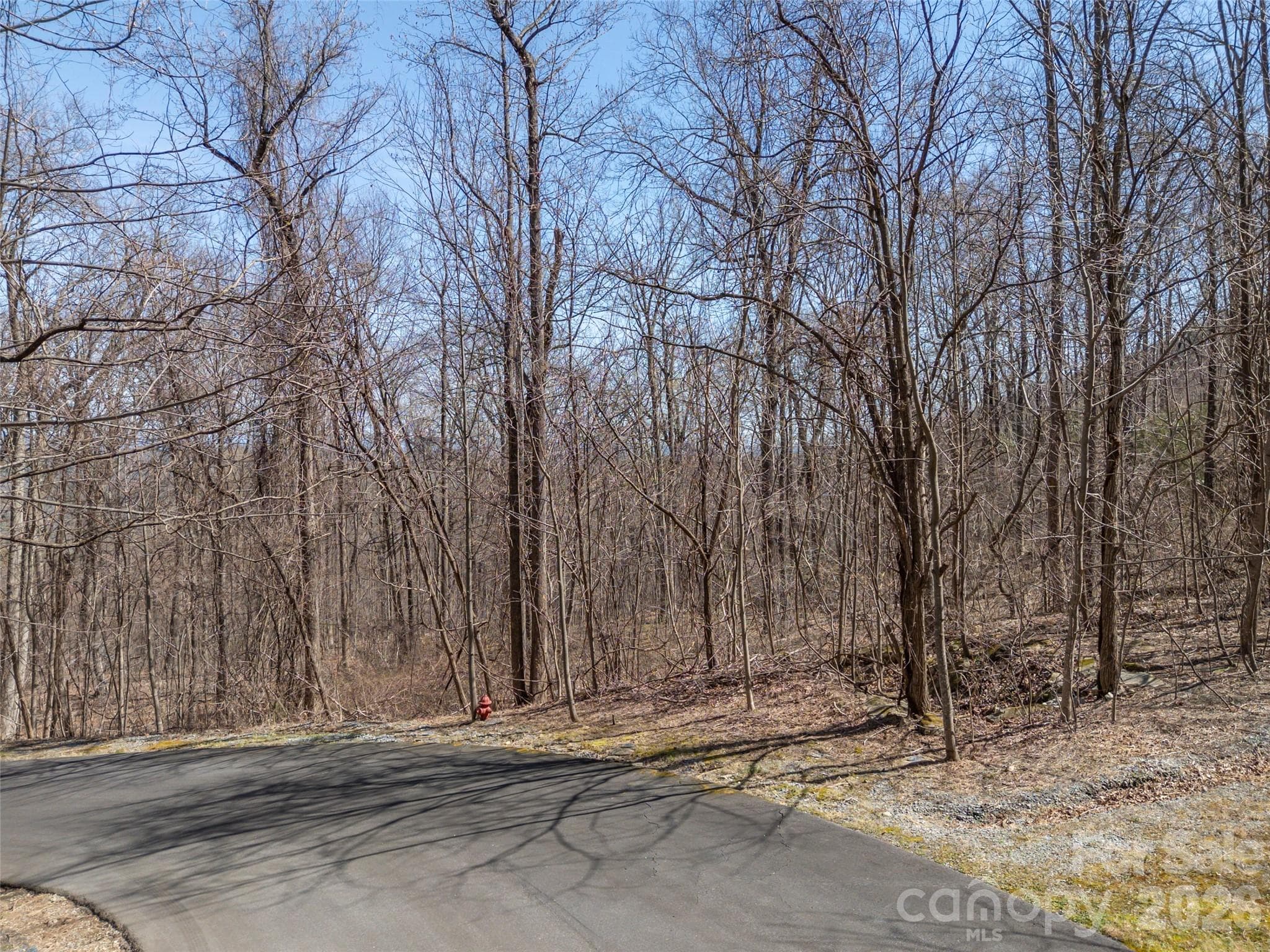Lot at Mill Spring, photo 4 of 37