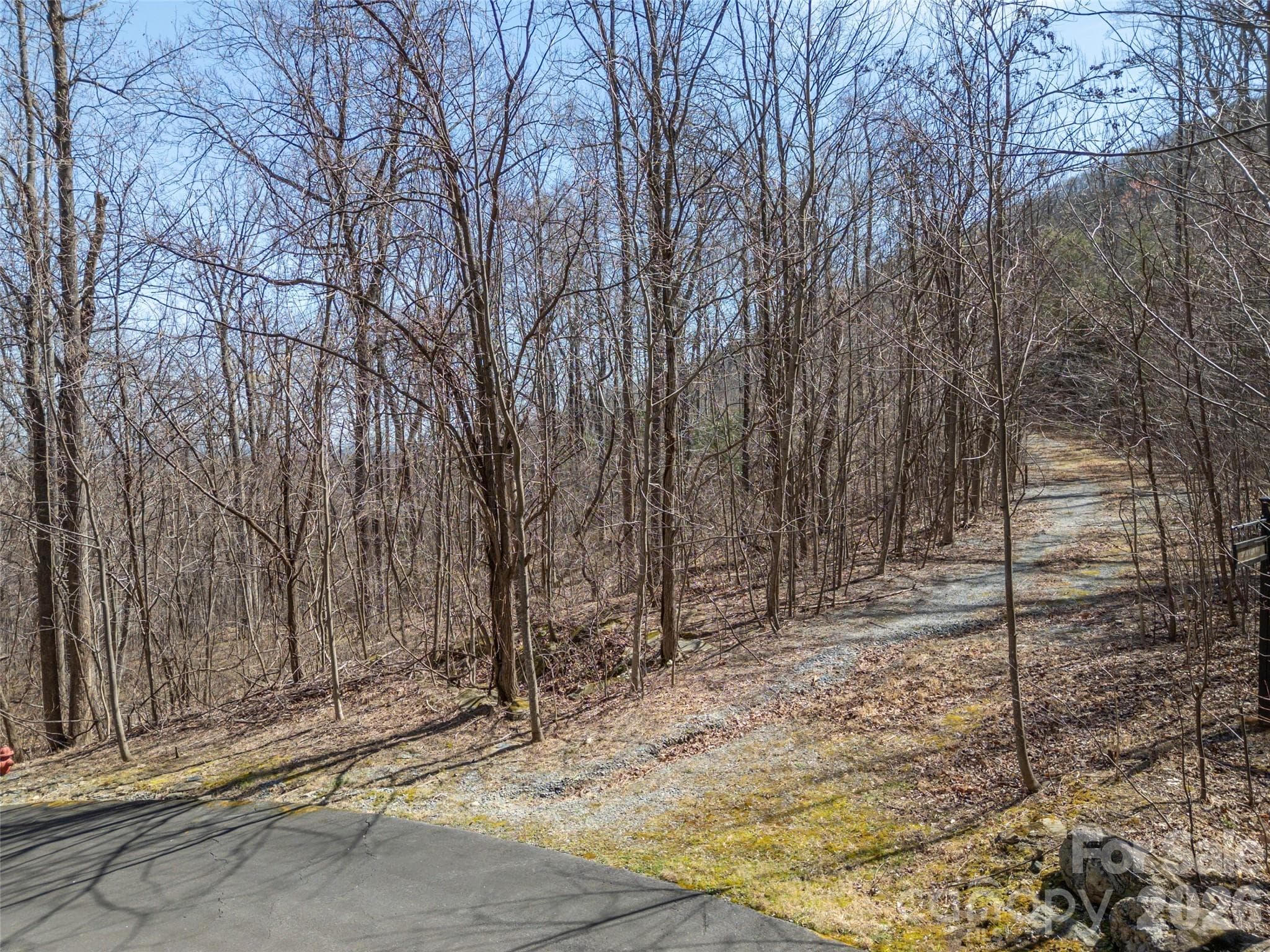 Lot at Mill Spring, photo 5 of 37