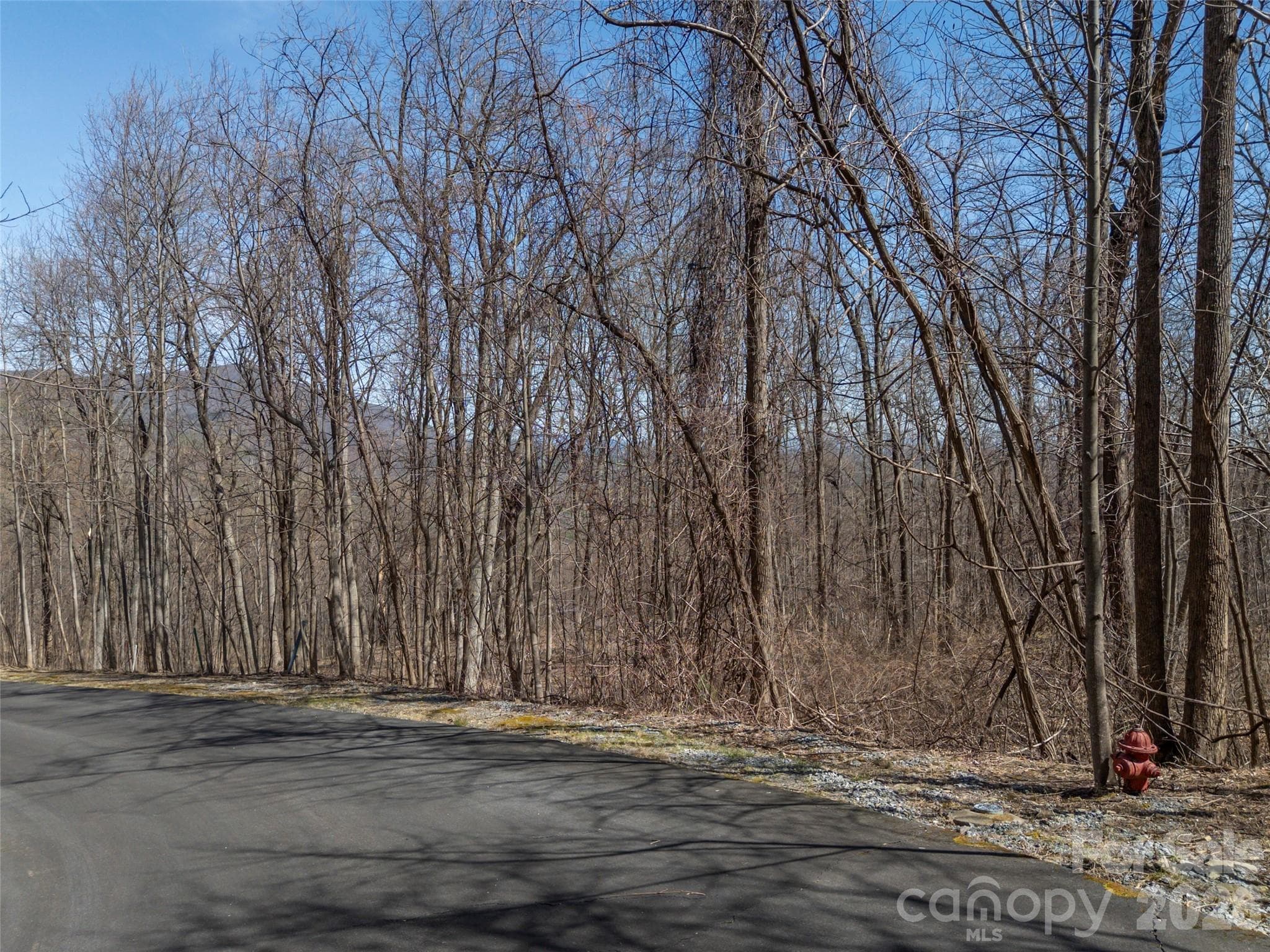 Lot at Mill Spring, photo 6 of 37