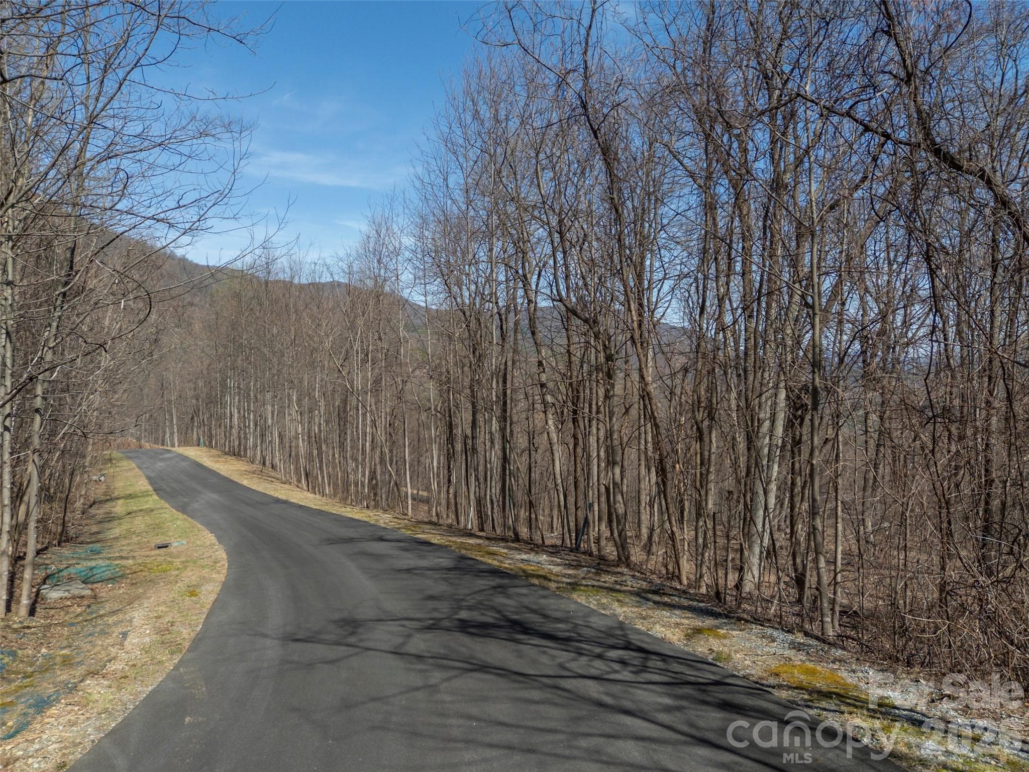 Lot at Mill Spring, photo 7 of 37