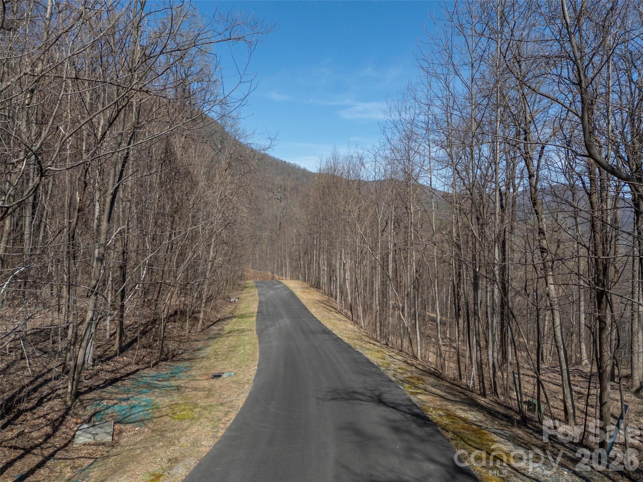 Lot at Mill Spring, photo 8 of 37