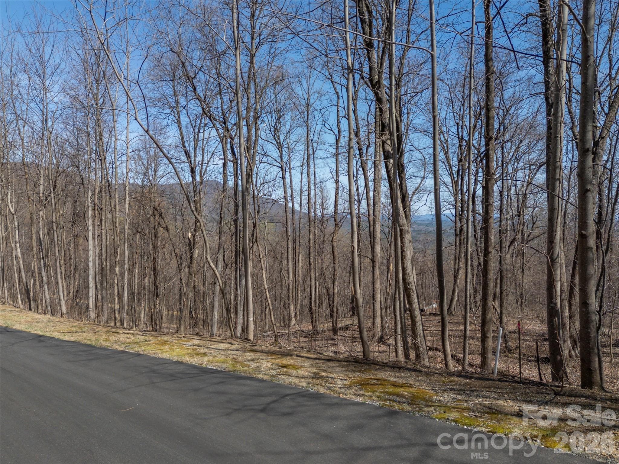 Lot at Mill Spring, photo 9 of 37