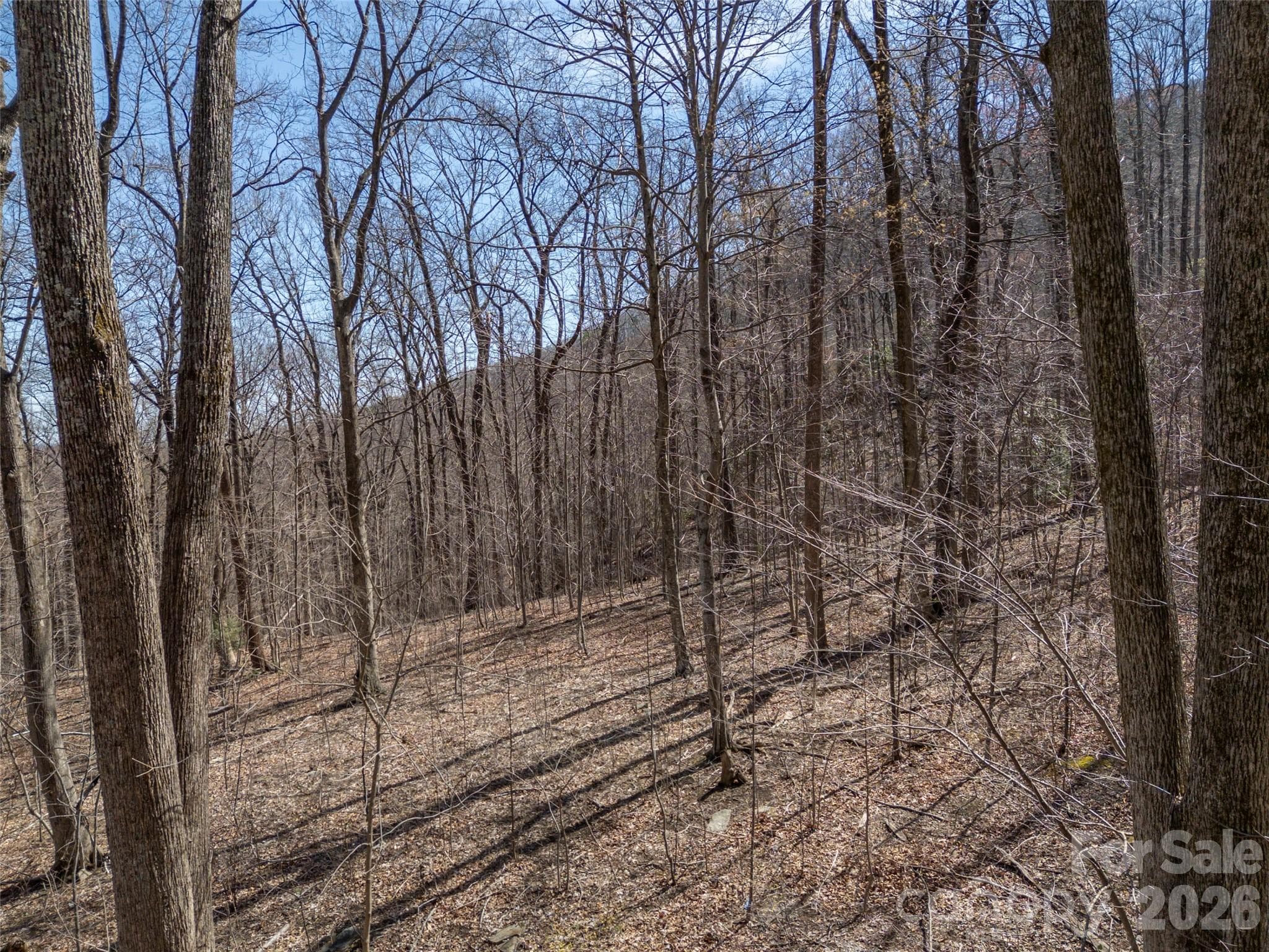 Lot at Mill Spring, photo 10 of 37