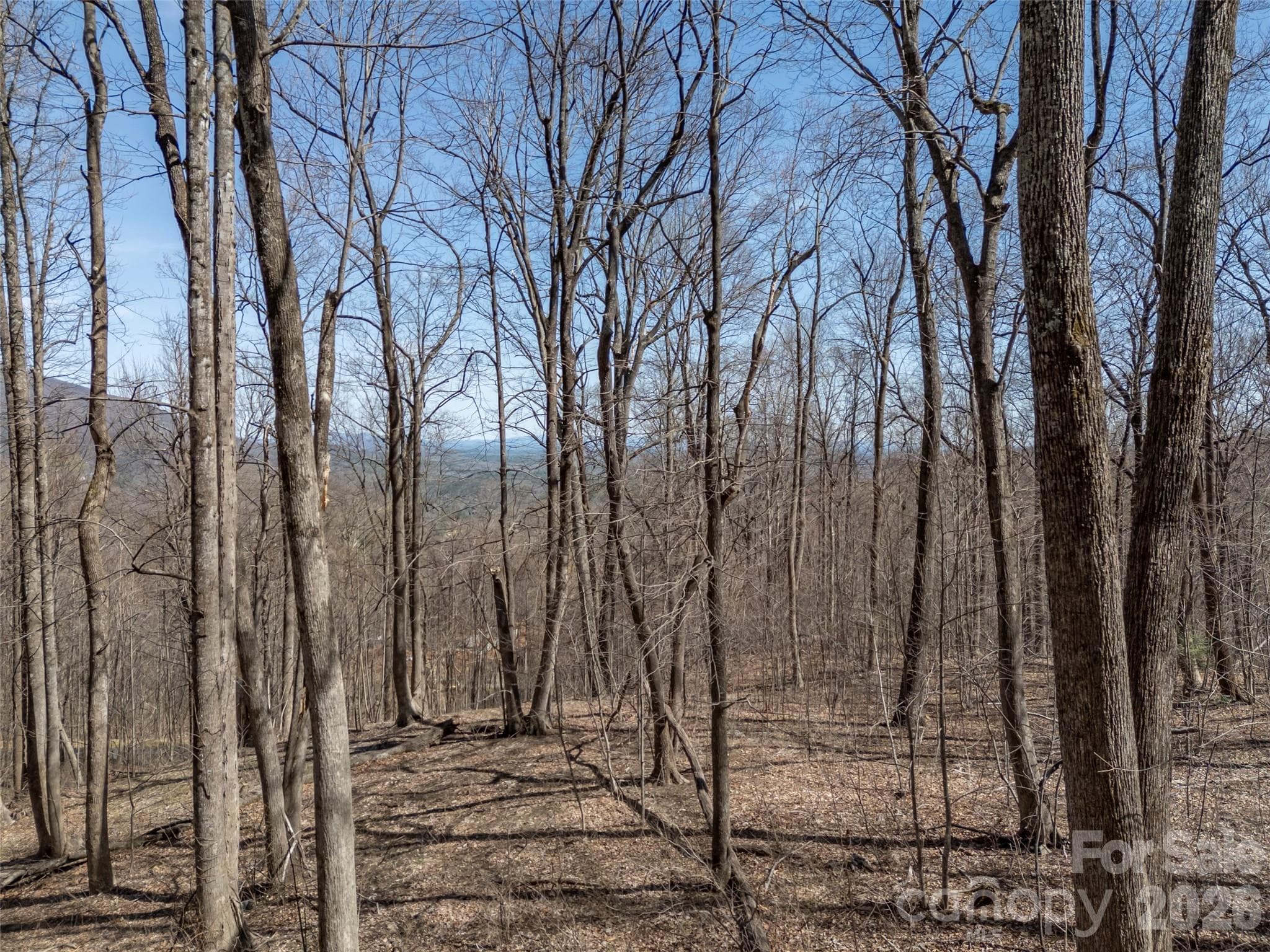 Lot at Mill Spring, photo 11 of 37