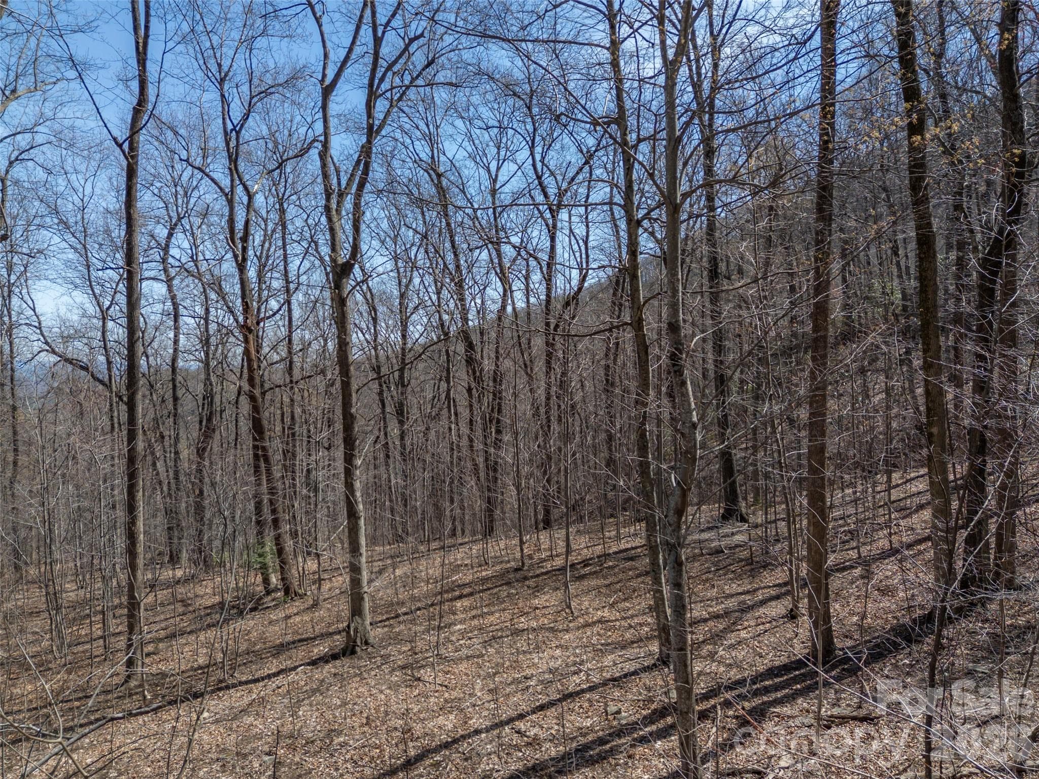 Lot at Mill Spring, photo 13 of 37