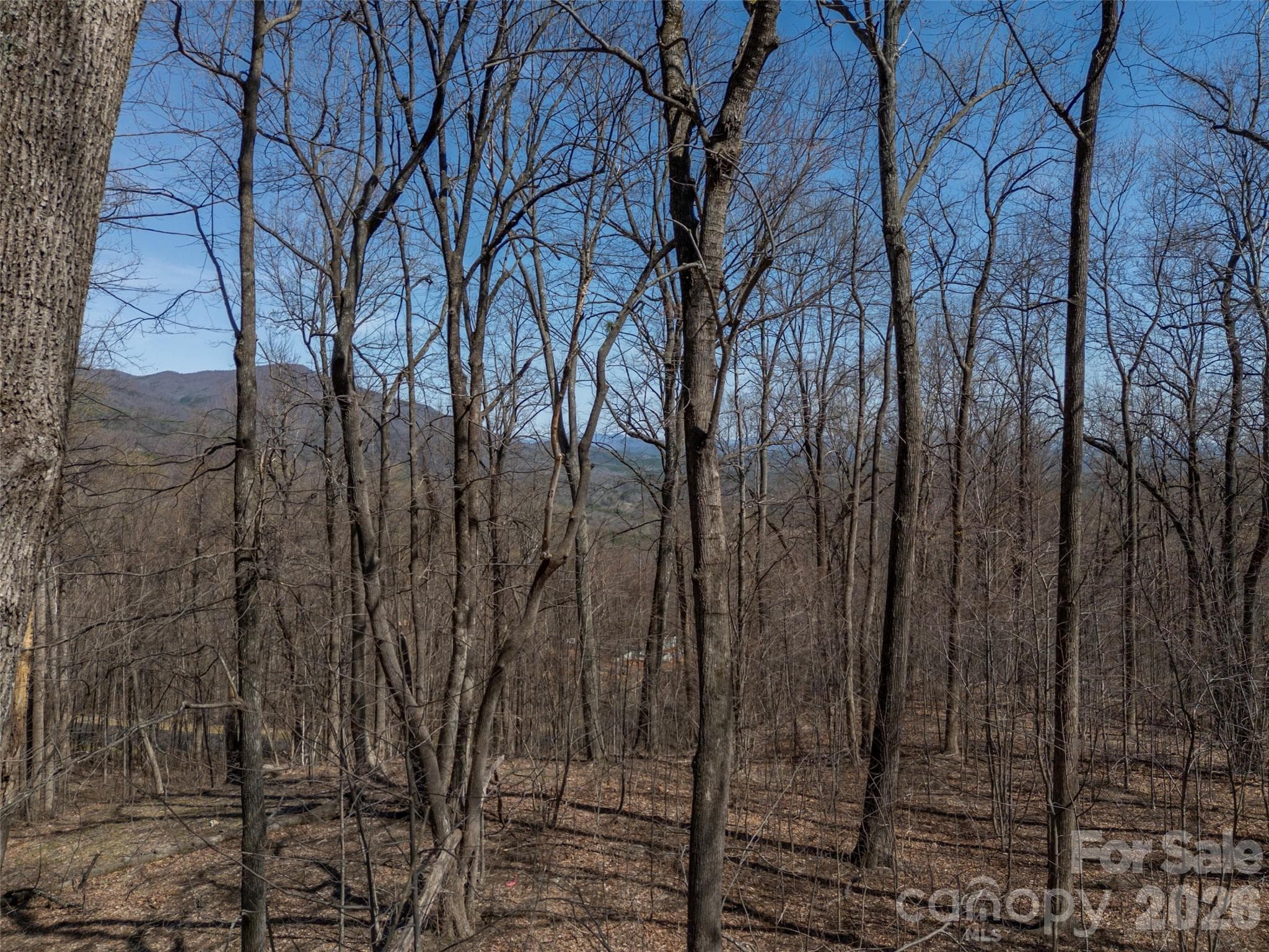 Lot at Mill Spring, photo 14 of 37