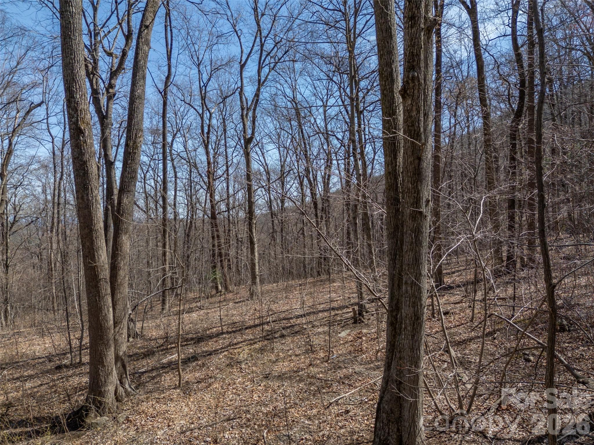 Lot at Mill Spring, photo 15 of 37