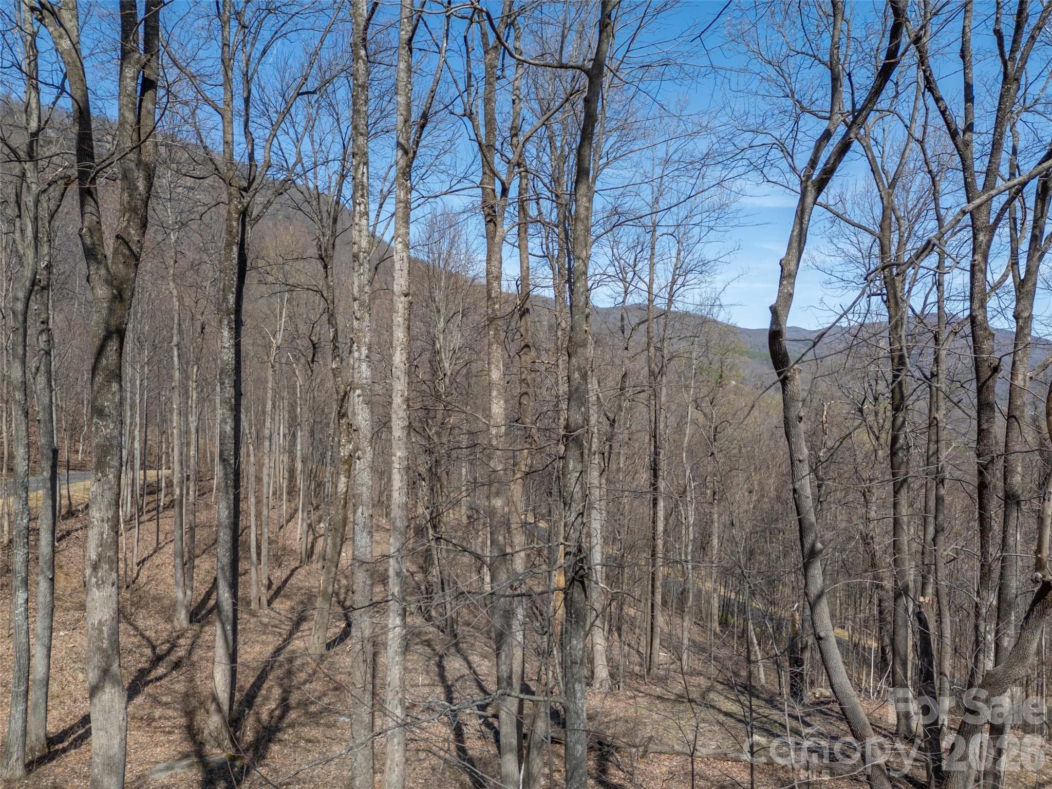 Lot at Mill Spring, photo 16 of 37