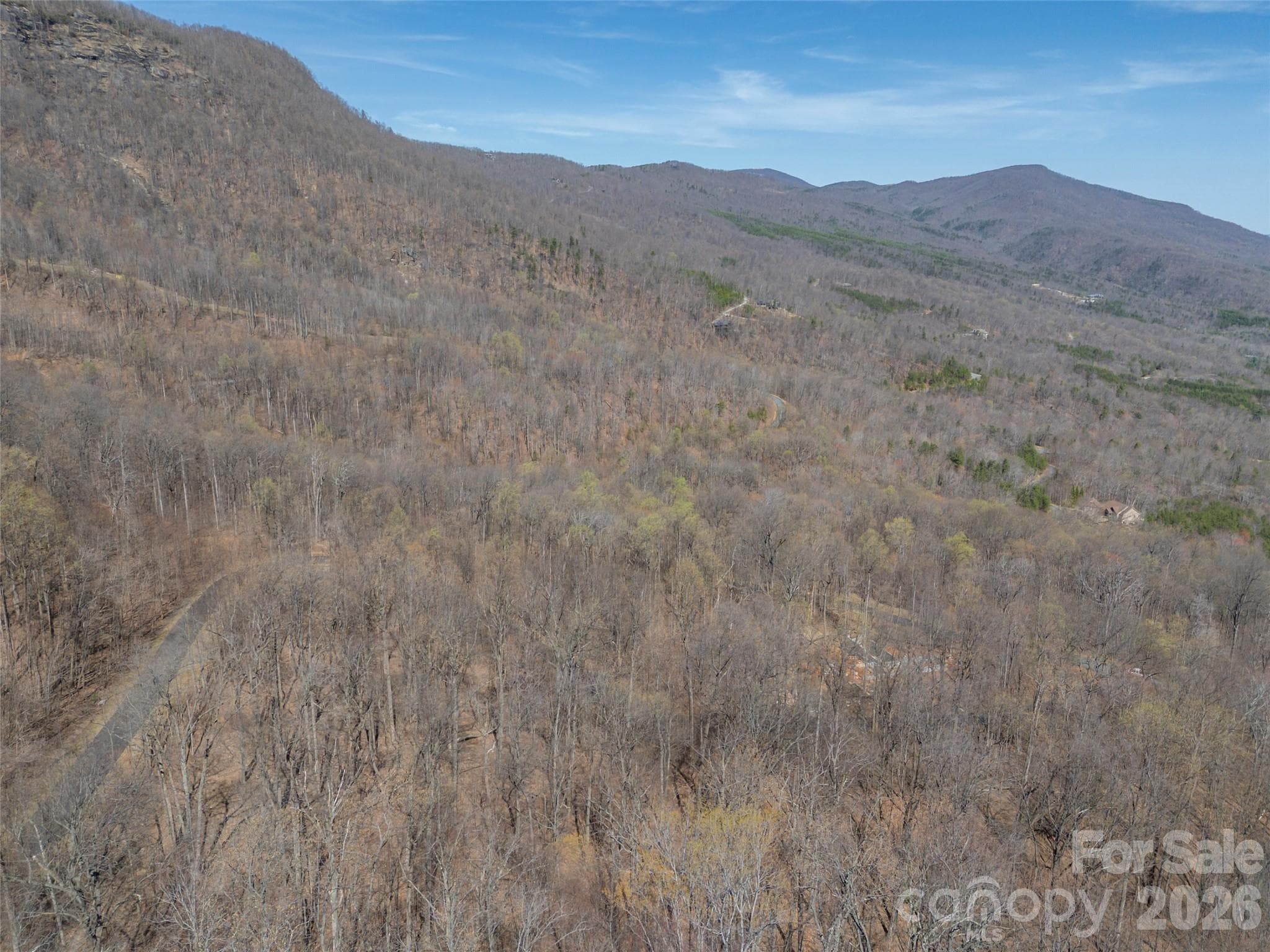 Lot at Mill Spring, photo 19 of 37