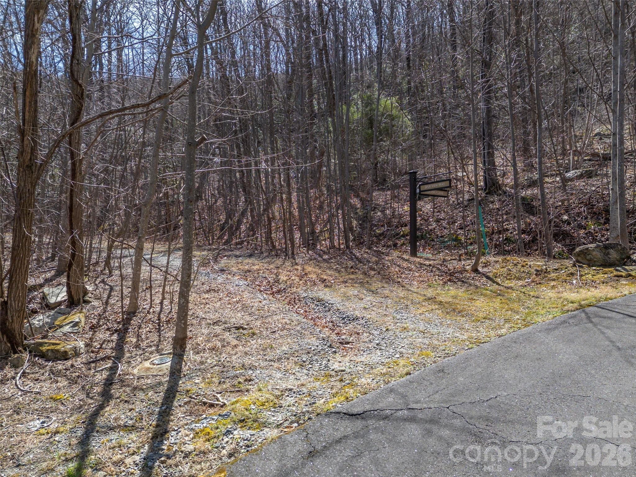 Lot at Mill Spring, photo 20 of 37