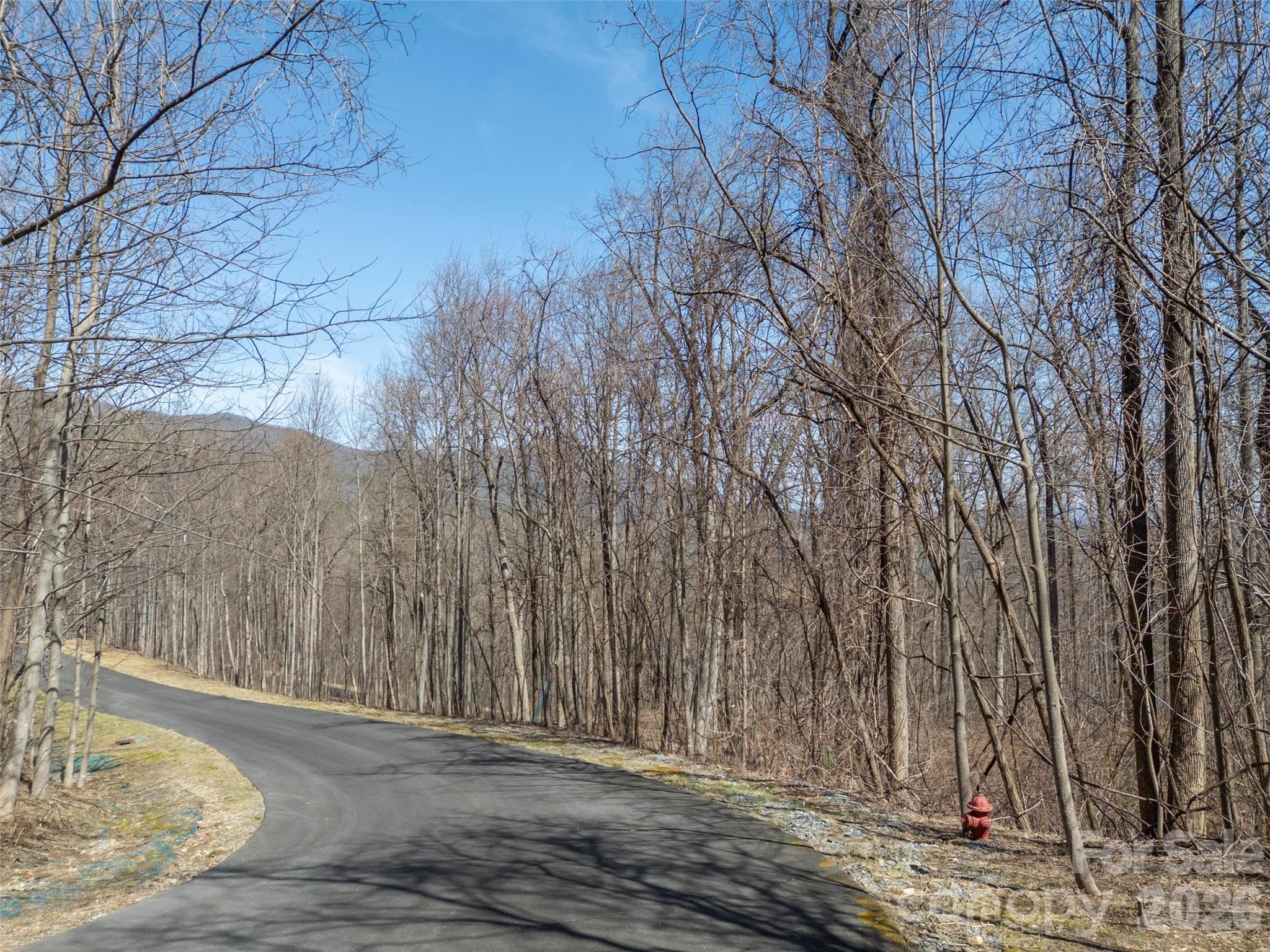 Lot at Mill Spring, photo 21 of 37