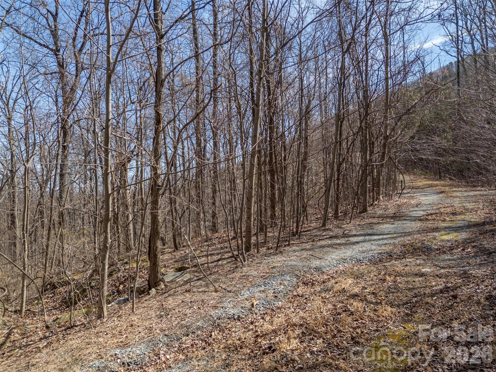 Lot at Mill Spring, photo 22 of 37