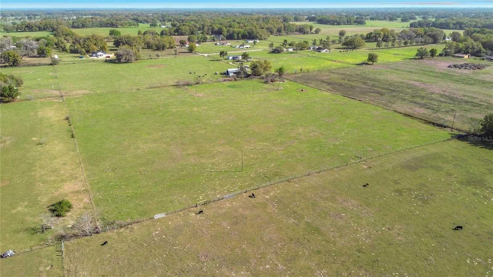 Land at 855 NE 107TH RD, OXFORD, photo 14 of 59