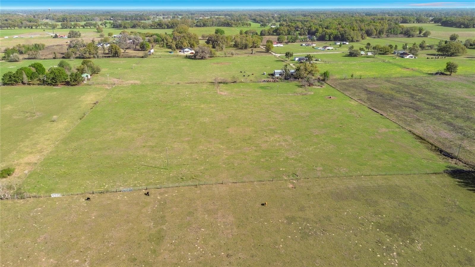 Land at 855 NE 107TH RD, OXFORD, photo 13 of 59