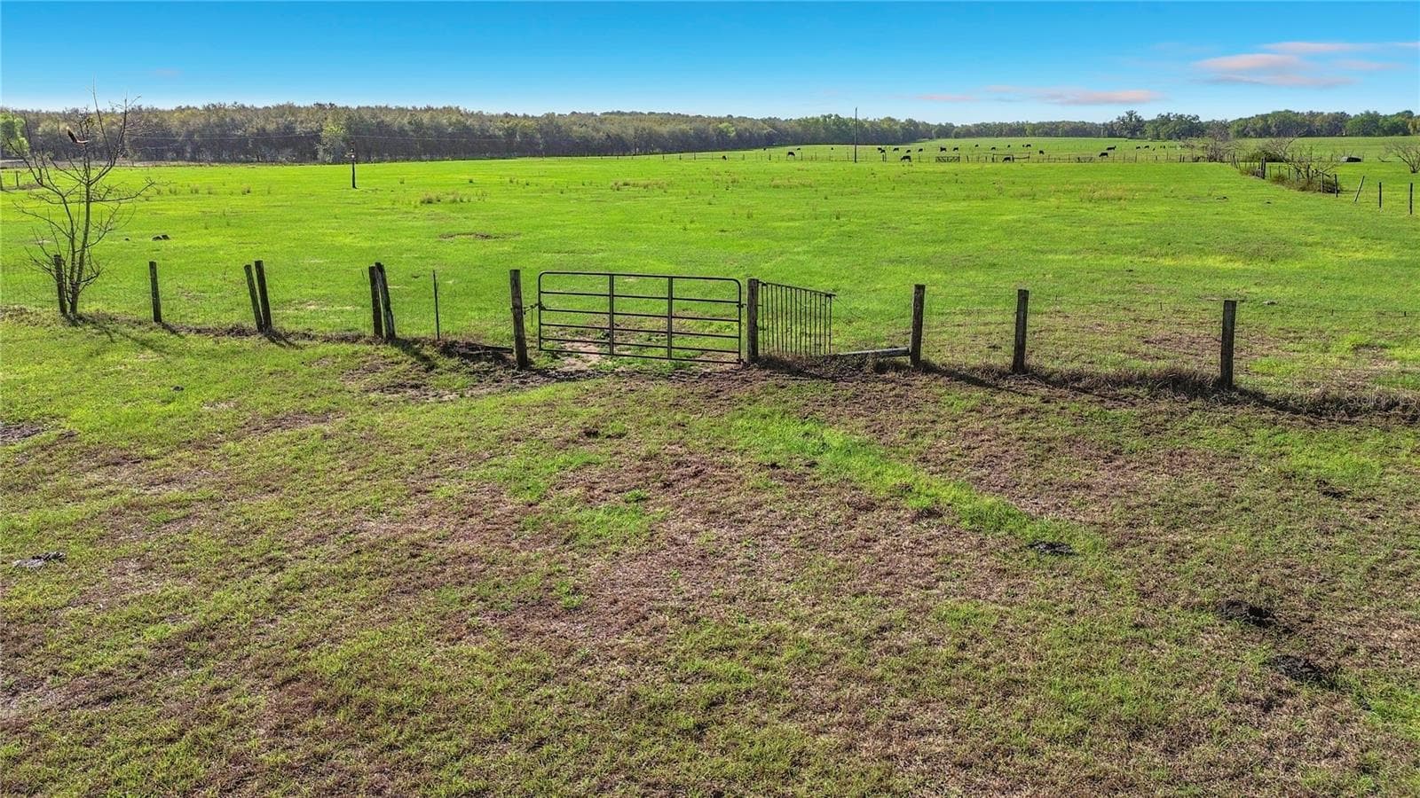 Land at 855 NE 107TH RD, OXFORD, photo 44 of 59