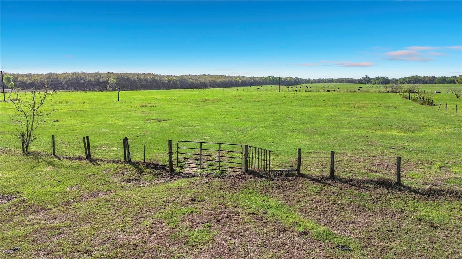 Land at 855 NE 107TH RD, OXFORD, photo 43 of 59