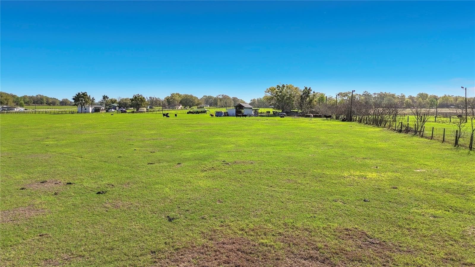 Land at 855 NE 107TH RD, OXFORD, photo 6 of 59