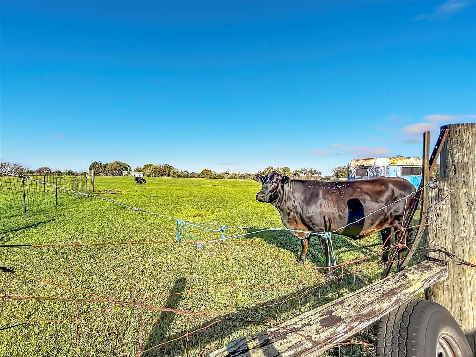 Land at 855 NE 107TH RD, OXFORD, photo 51 of 59