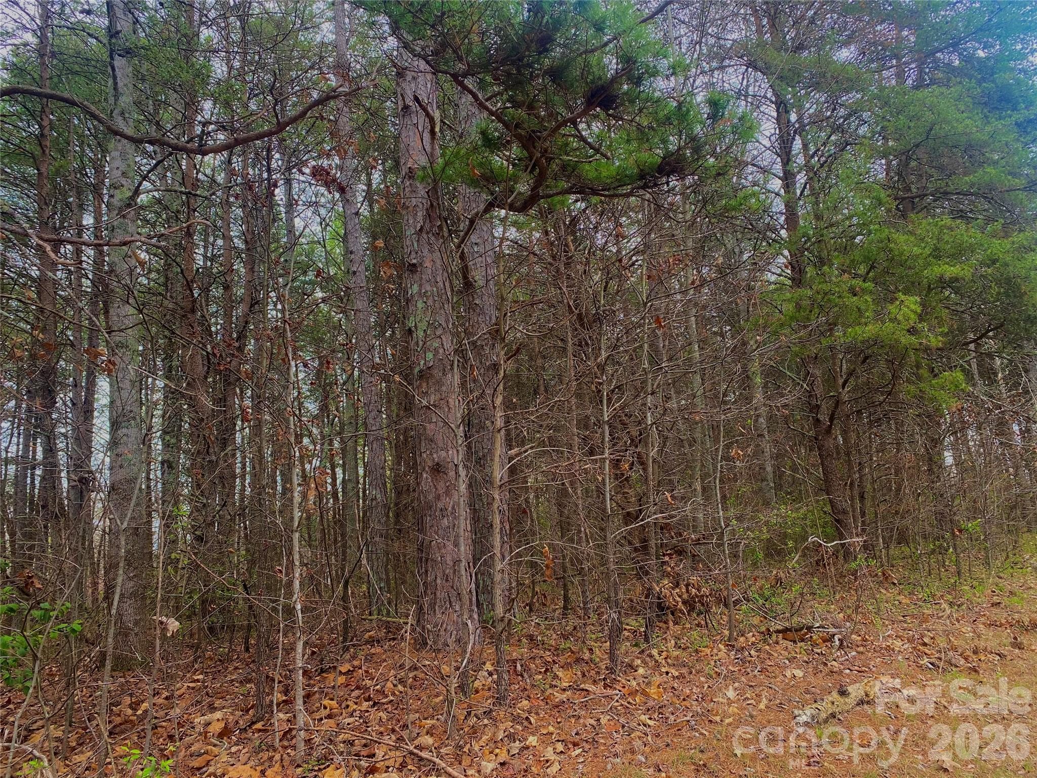 302 Lewis Ferry Rd, lot 21 - Mostly flat lot, home to be started April 2026 - 302 Lewis Ferry Road, Statesville
