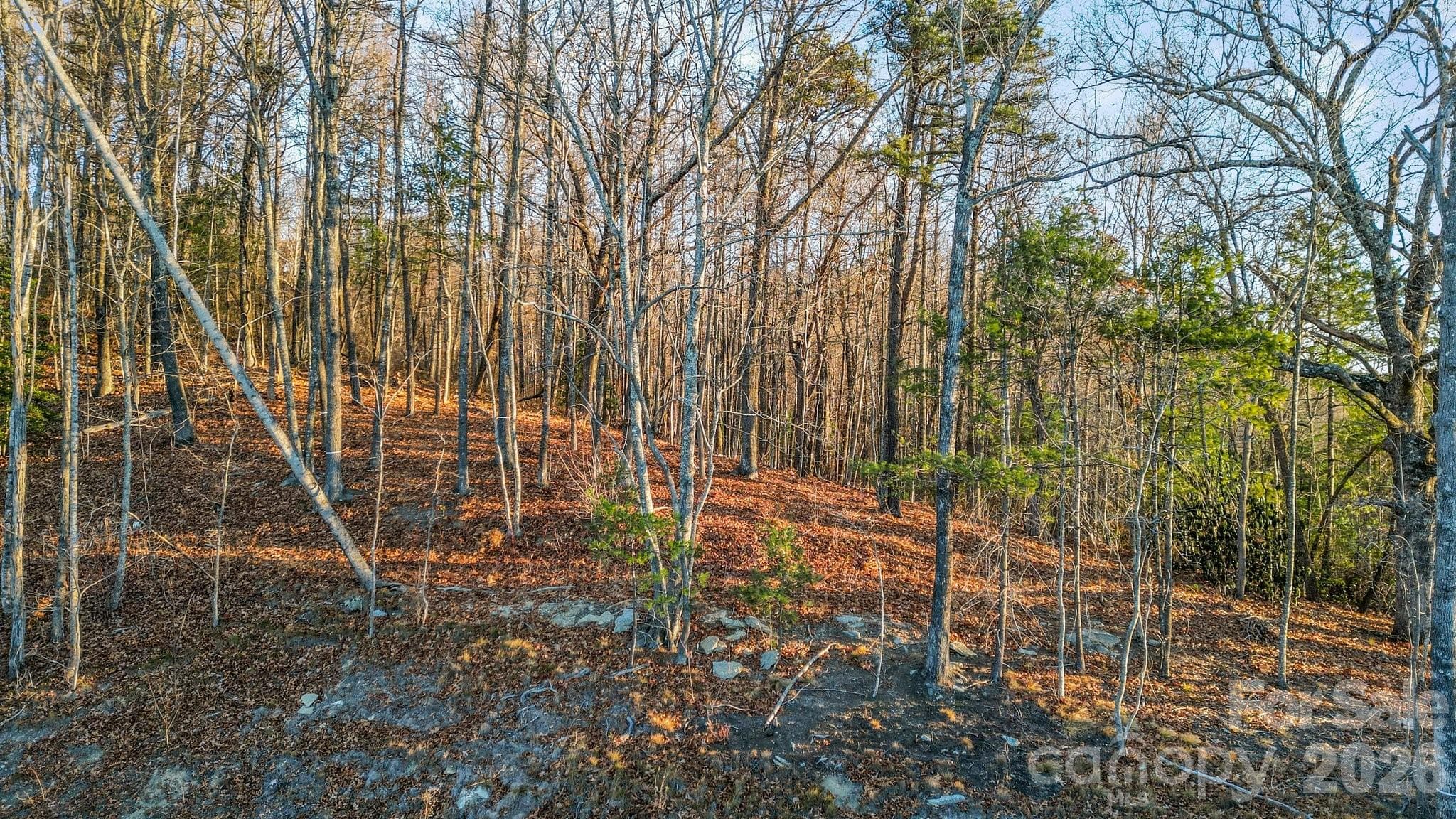 Lot at Fletcher, photo 3 of 5