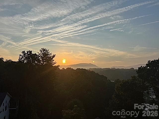 back porch view - Asheville
