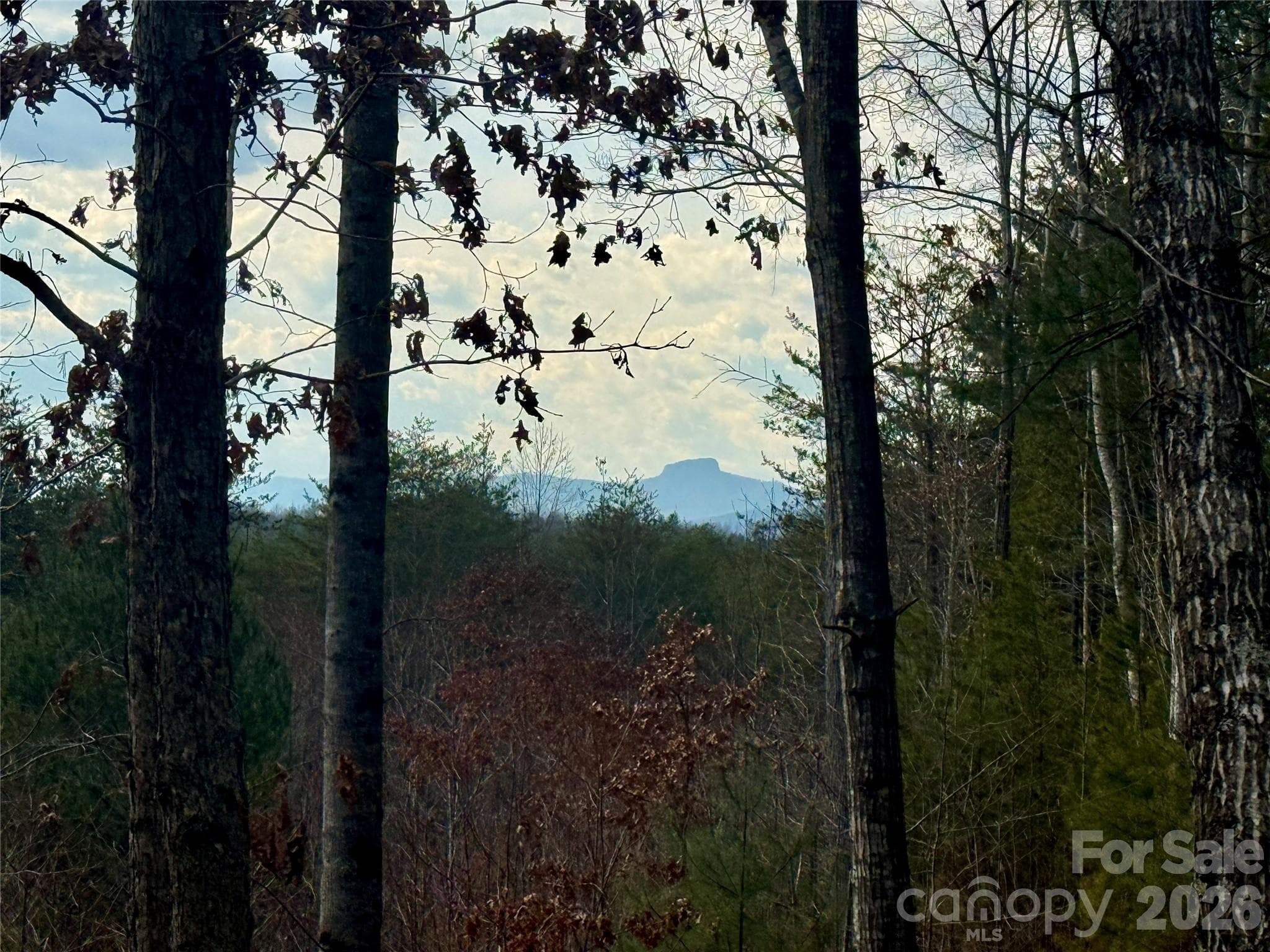 Lot at Lenoir, photo 2 of 40