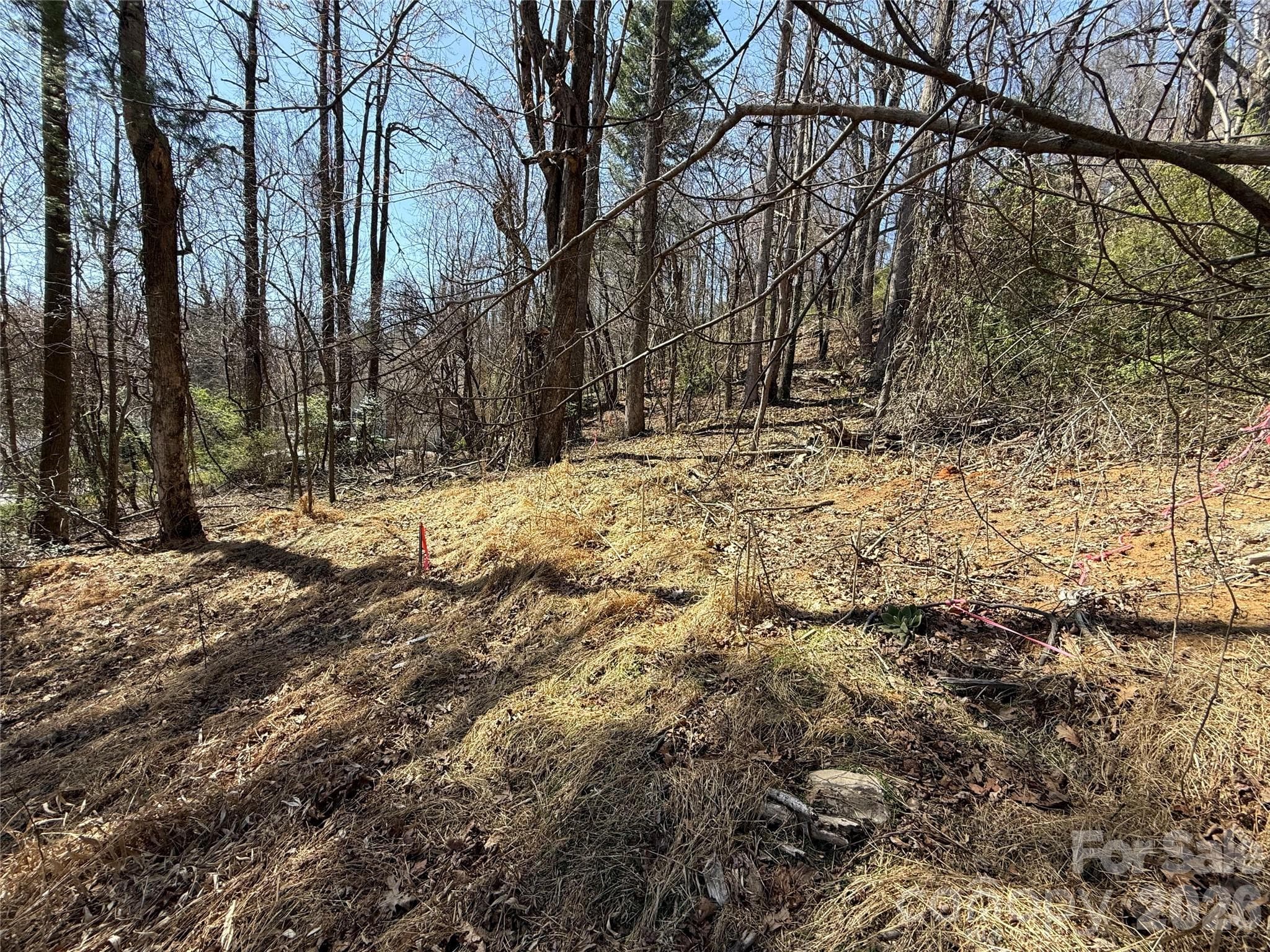 Lot at 3 Fawn Turn Lane, Hendersonville, photo 8 of 18