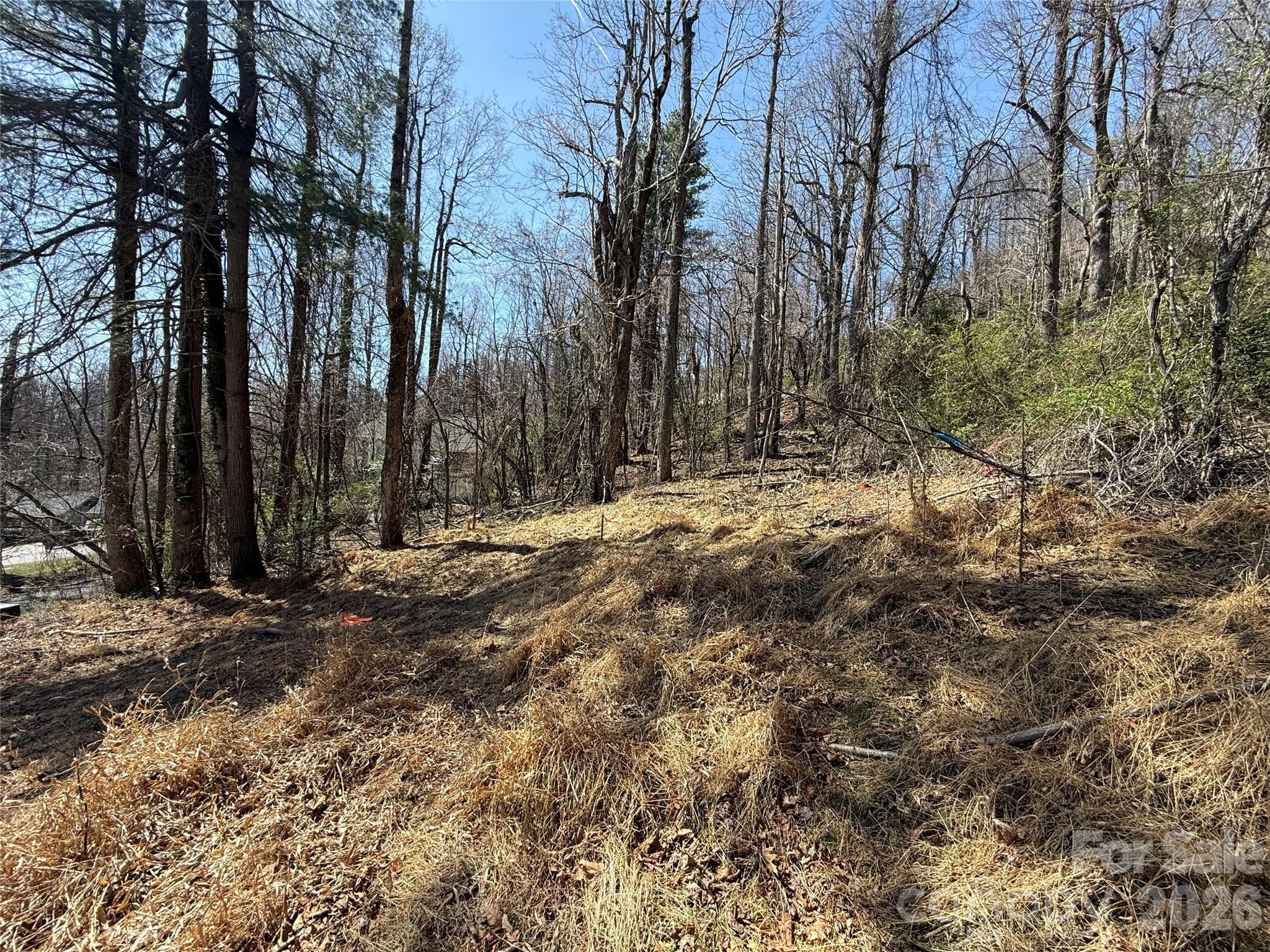 Lot at 3 Fawn Turn Lane, Hendersonville, photo 9 of 18