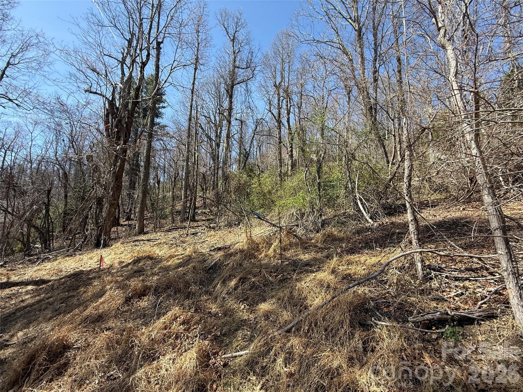 Lot at 3 Fawn Turn Lane, Hendersonville, photo 10 of 18