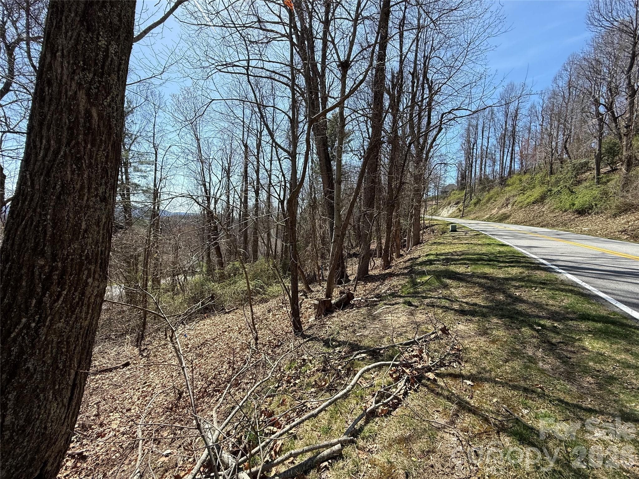 Lot at 3 Fawn Turn Lane, Hendersonville, photo 11 of 18